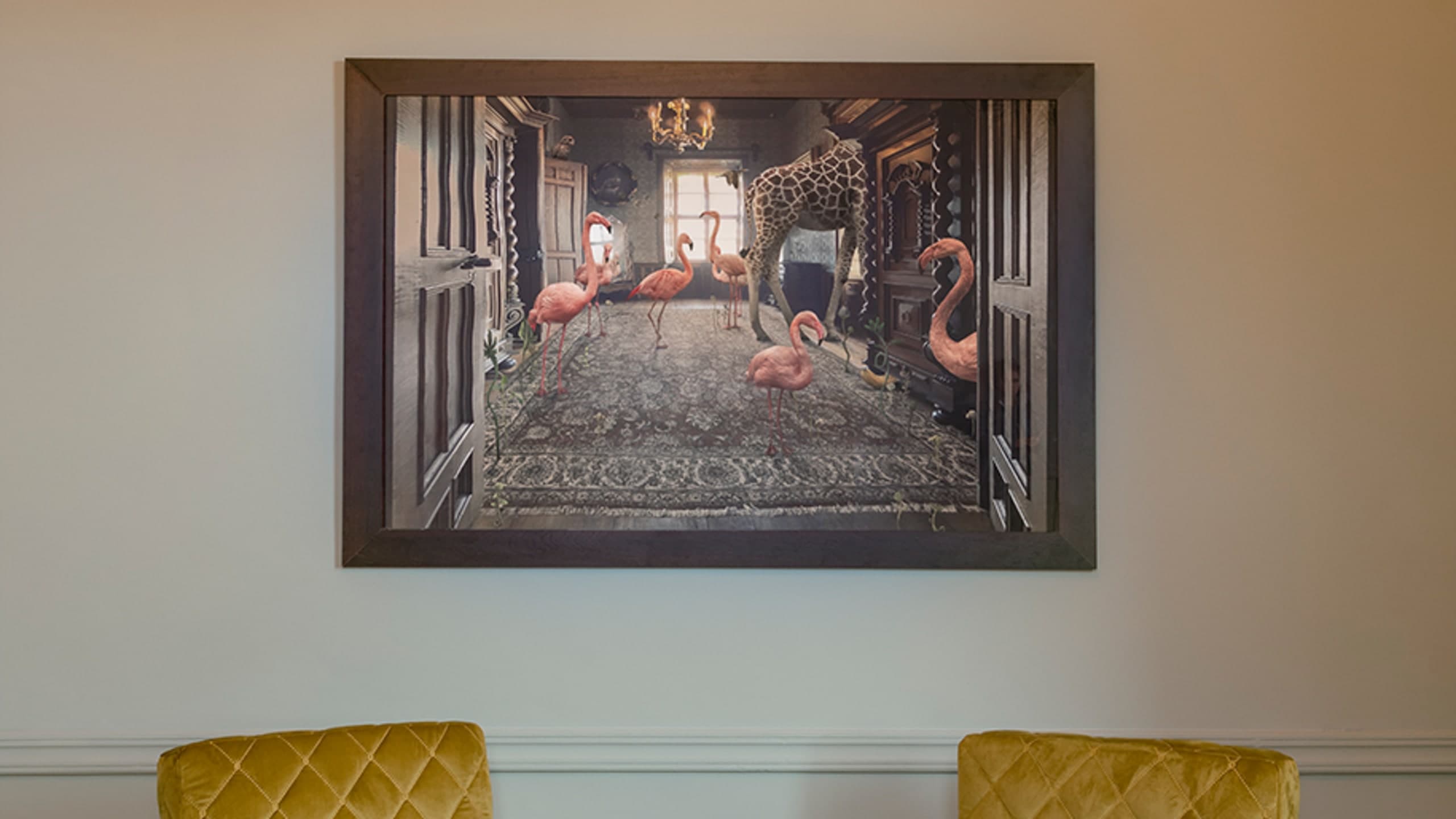 Oasis Suite - Image 3