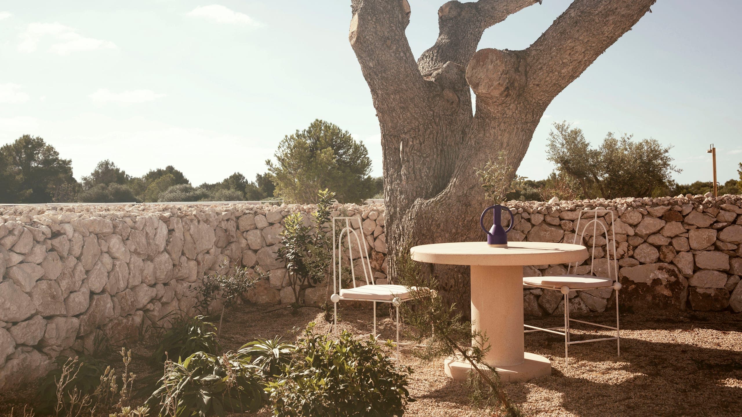 Mahon Garden - Image 5