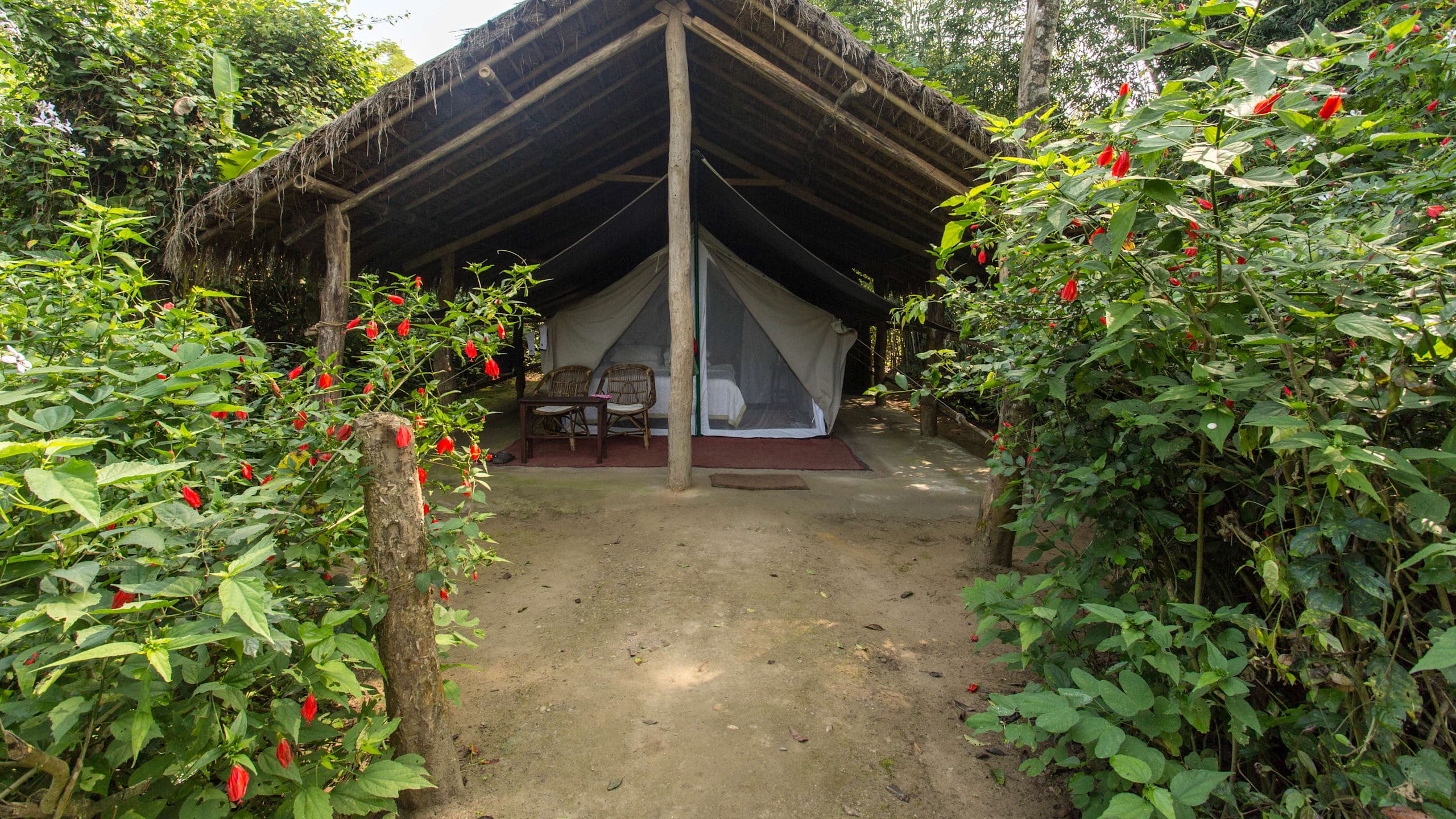 Tiger Tops Tharu Lodge - Image 5