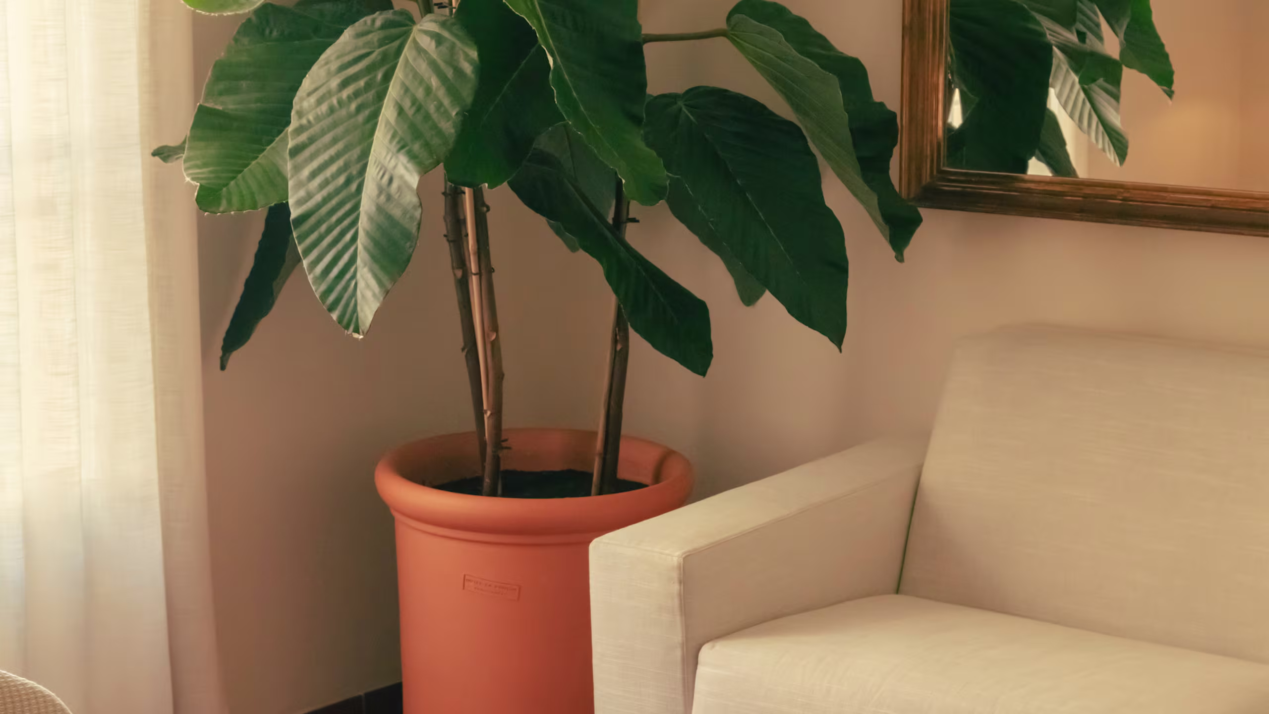 The Deluxe Suite - Image 1