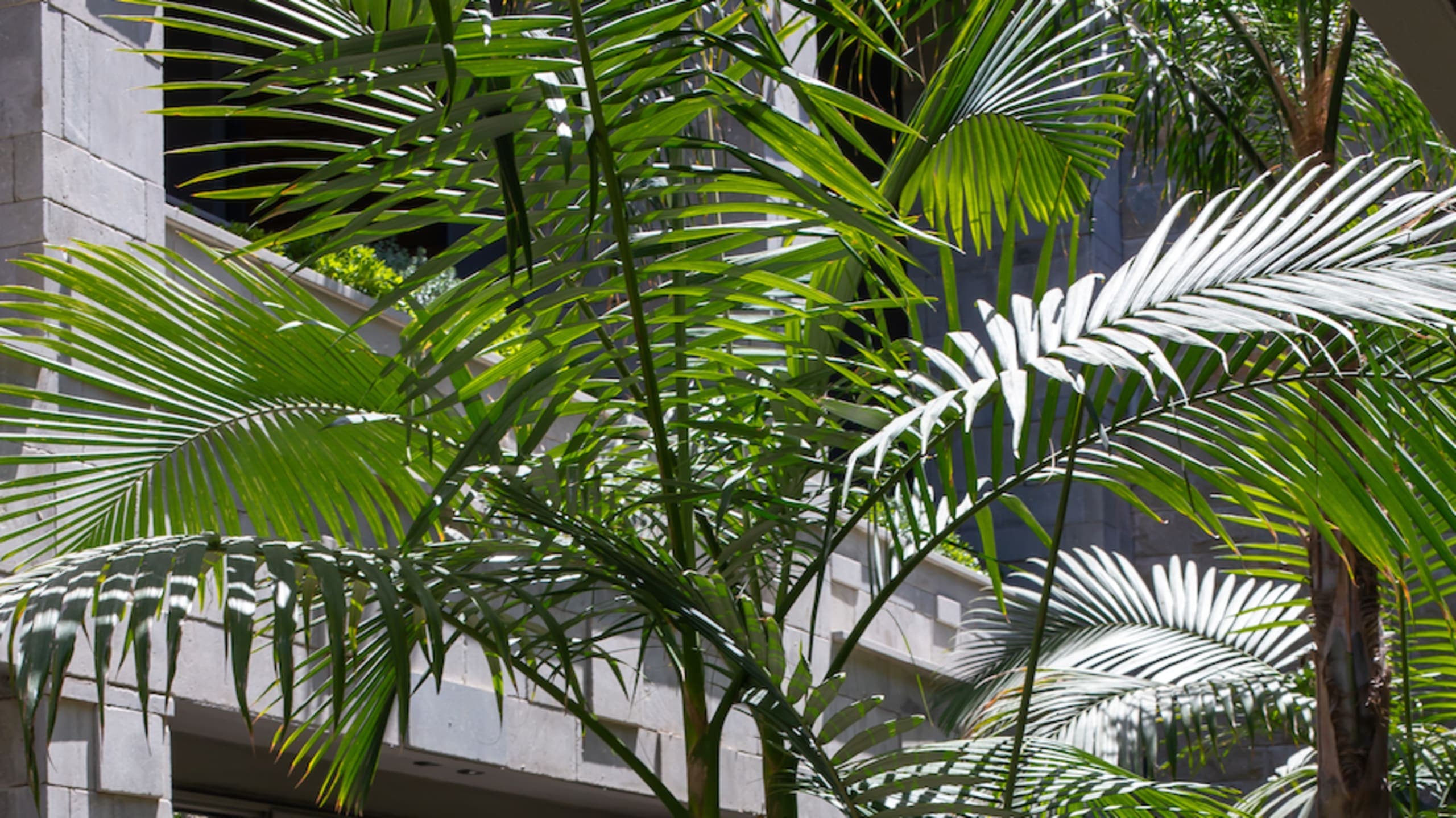 Deluxe Atrium View Room - Image 2