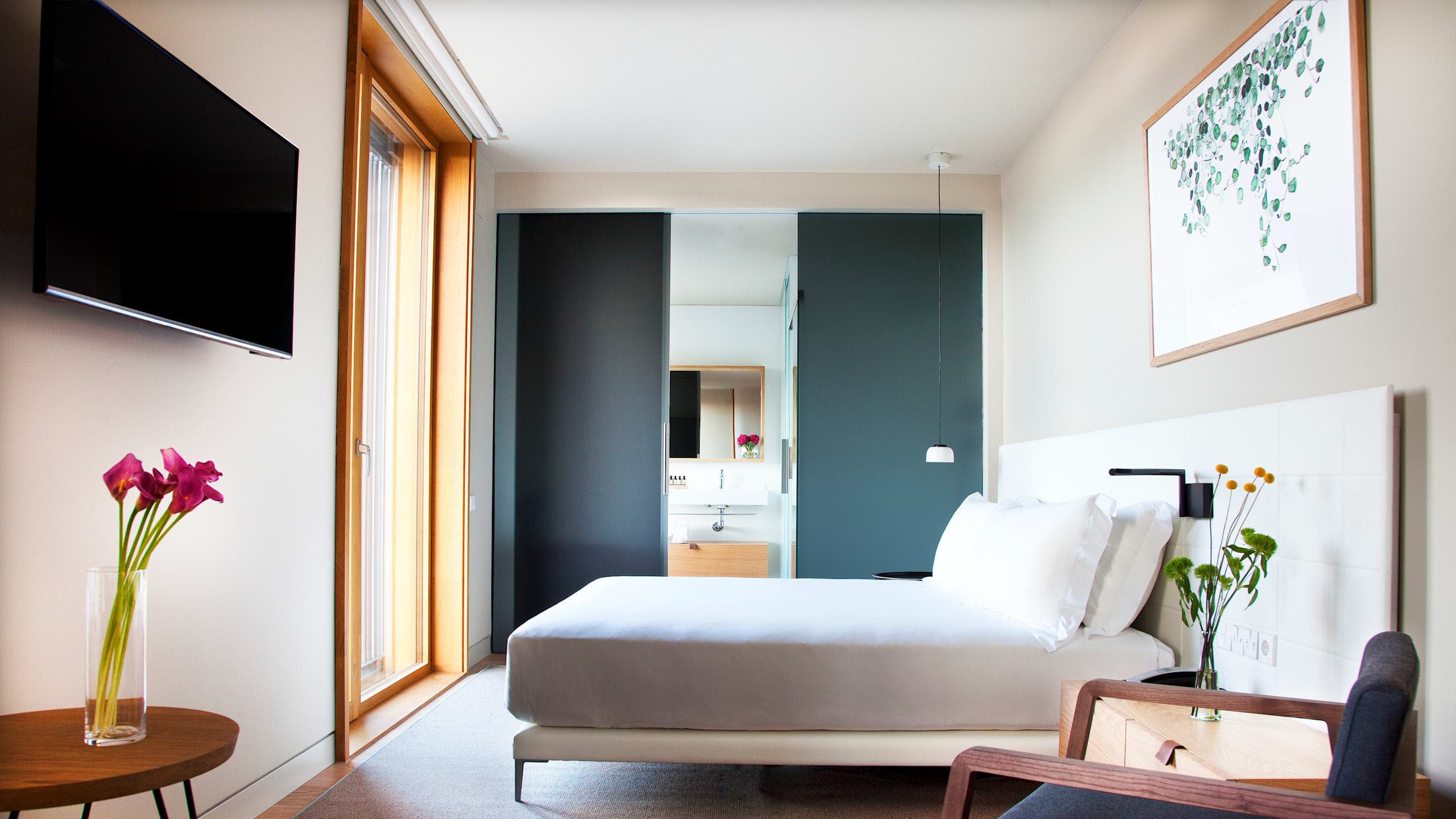 Double Passiv (for single use) - Image 2