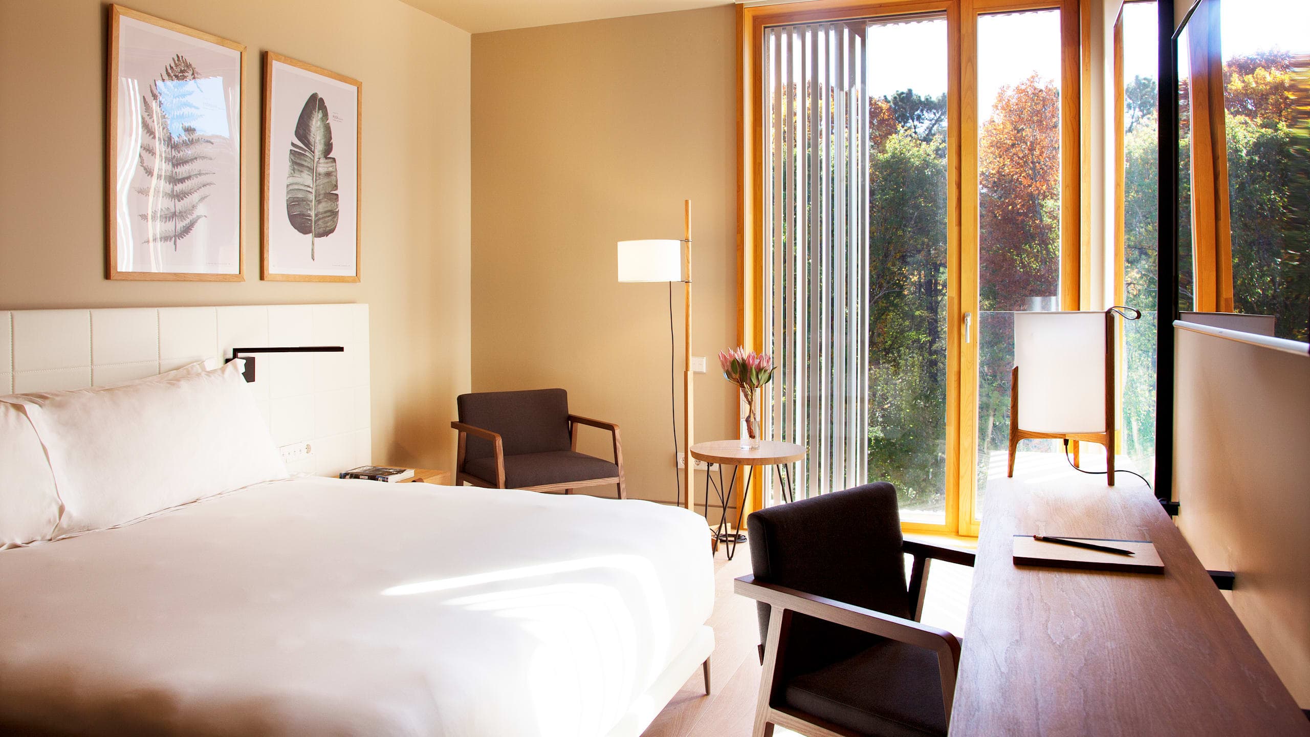 Double Passiv (for single use) - Image 1