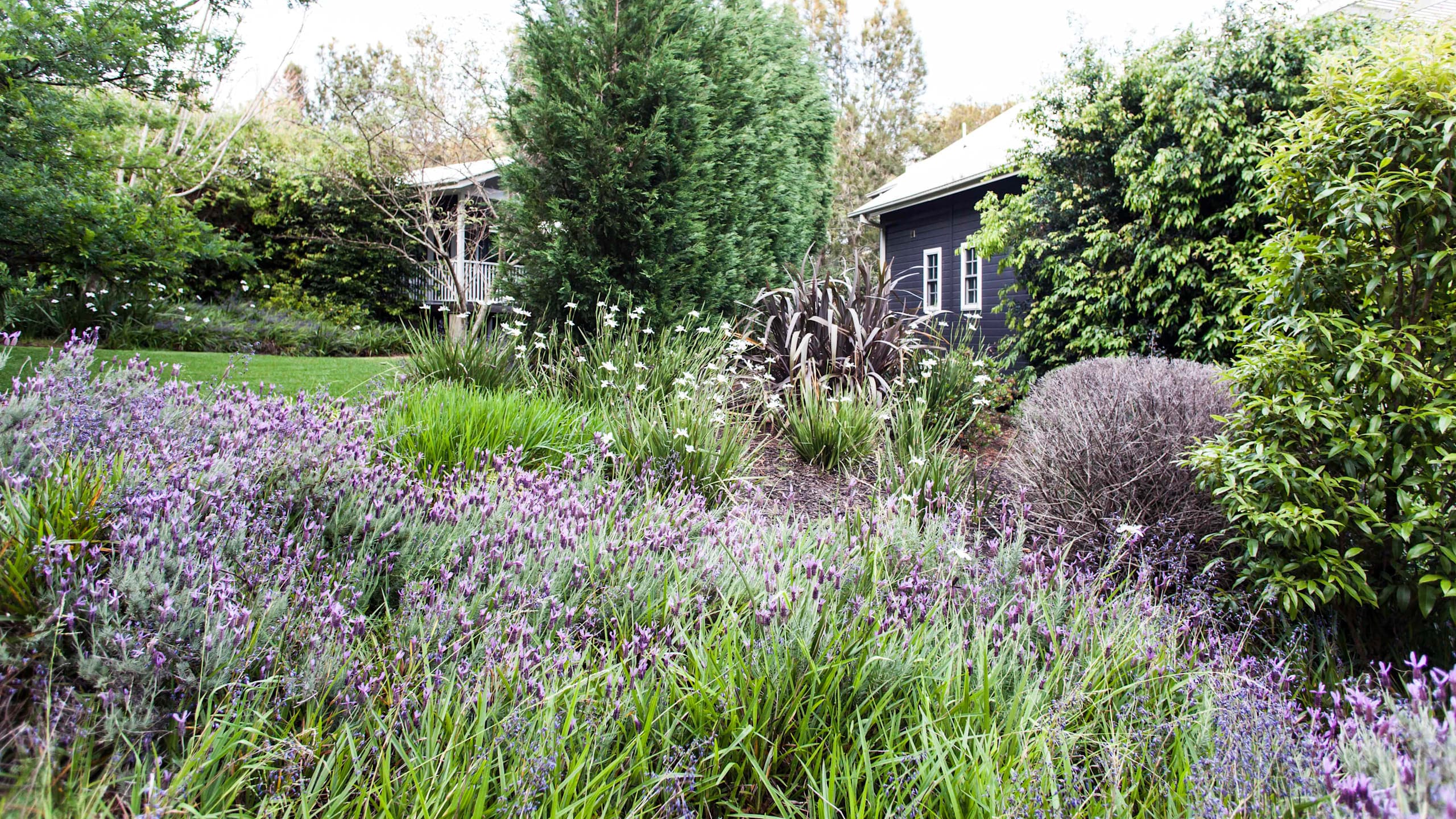 King Suite - Image 6