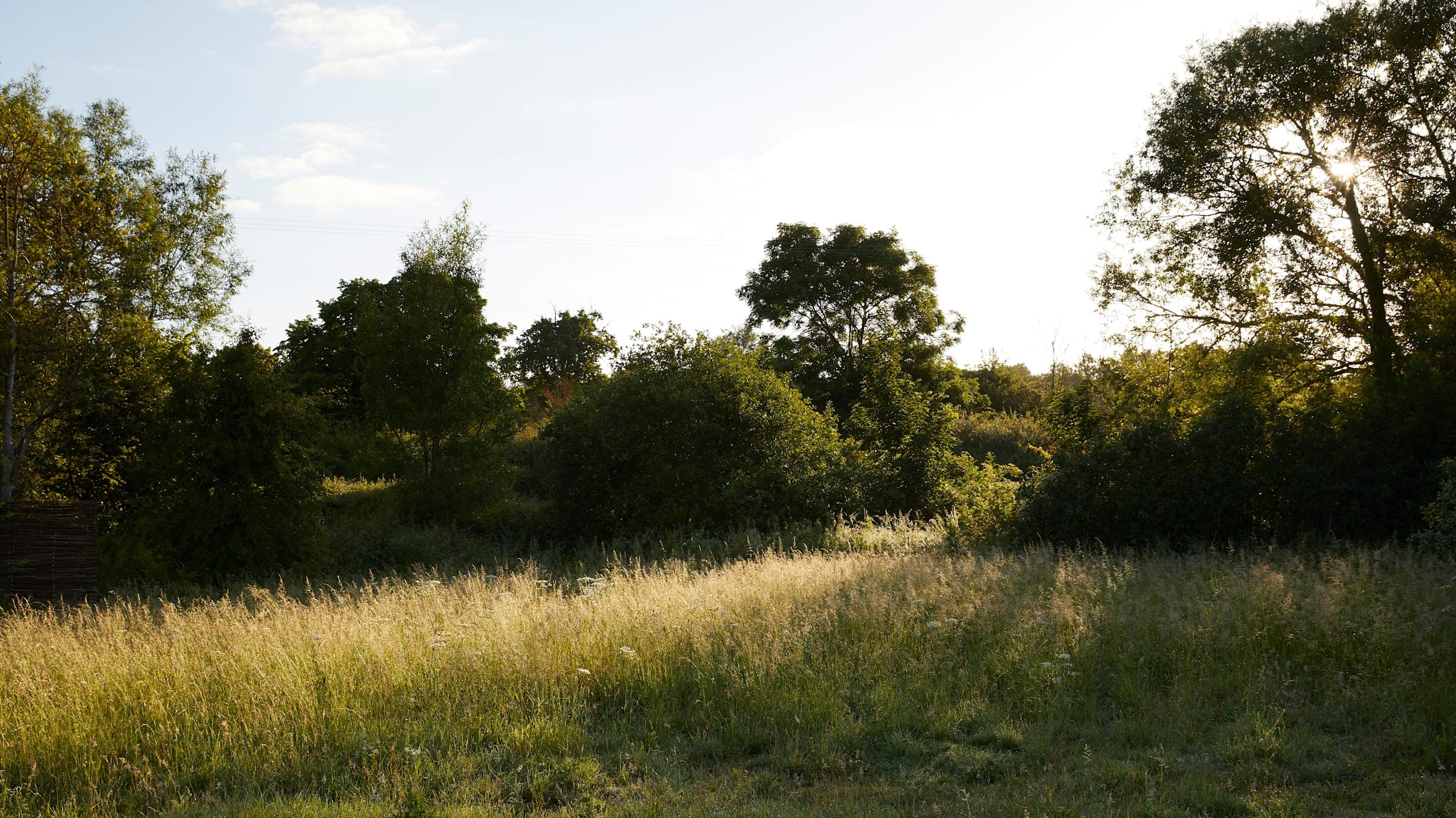 The Burrows - Image 1
