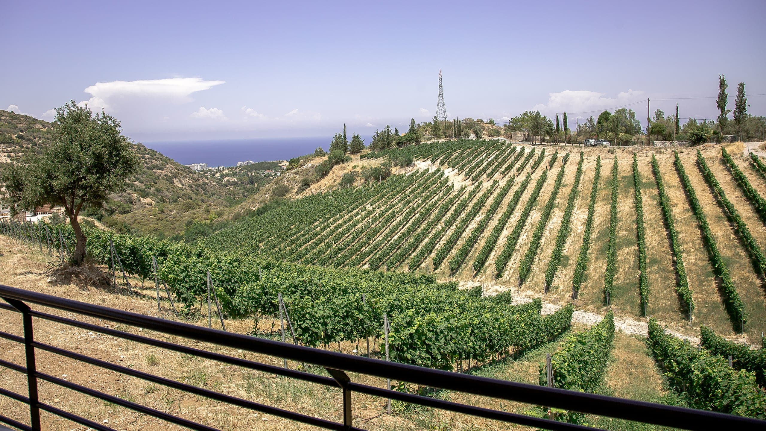 Gillham Vineyard Hotel - Image 5