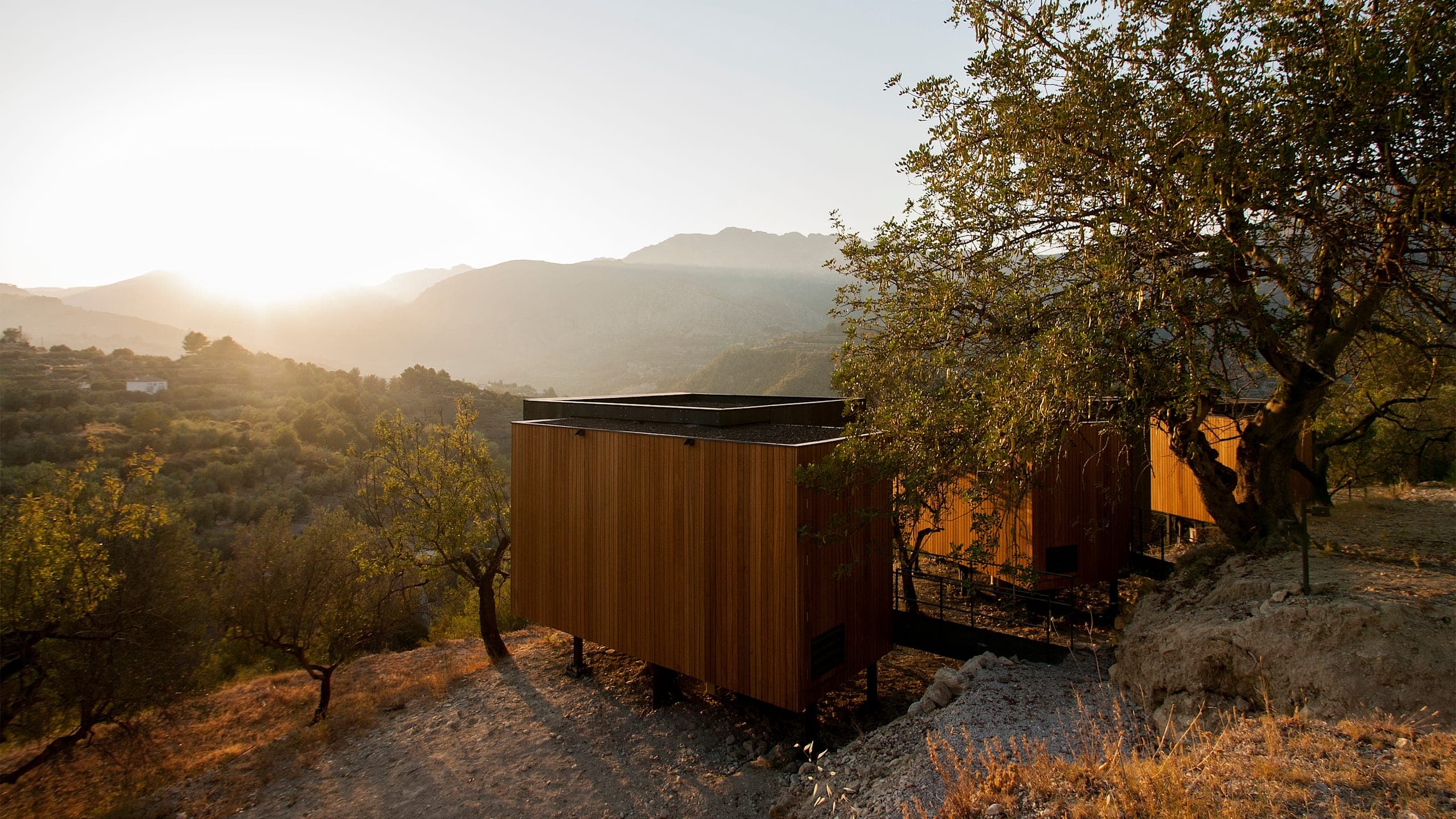 Double Suite - Image 4