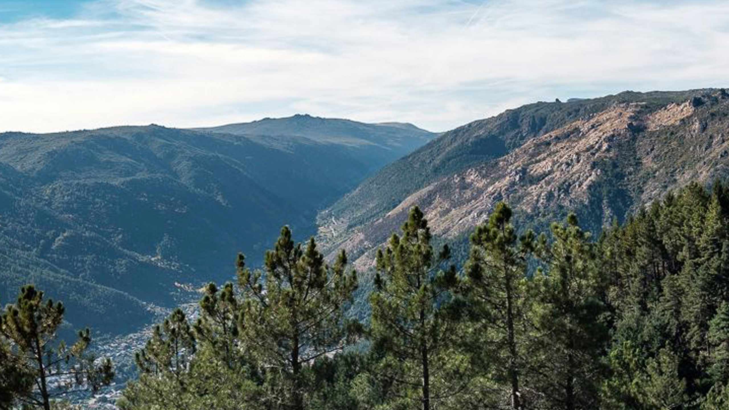 Comfort Mountain Room - Image 5