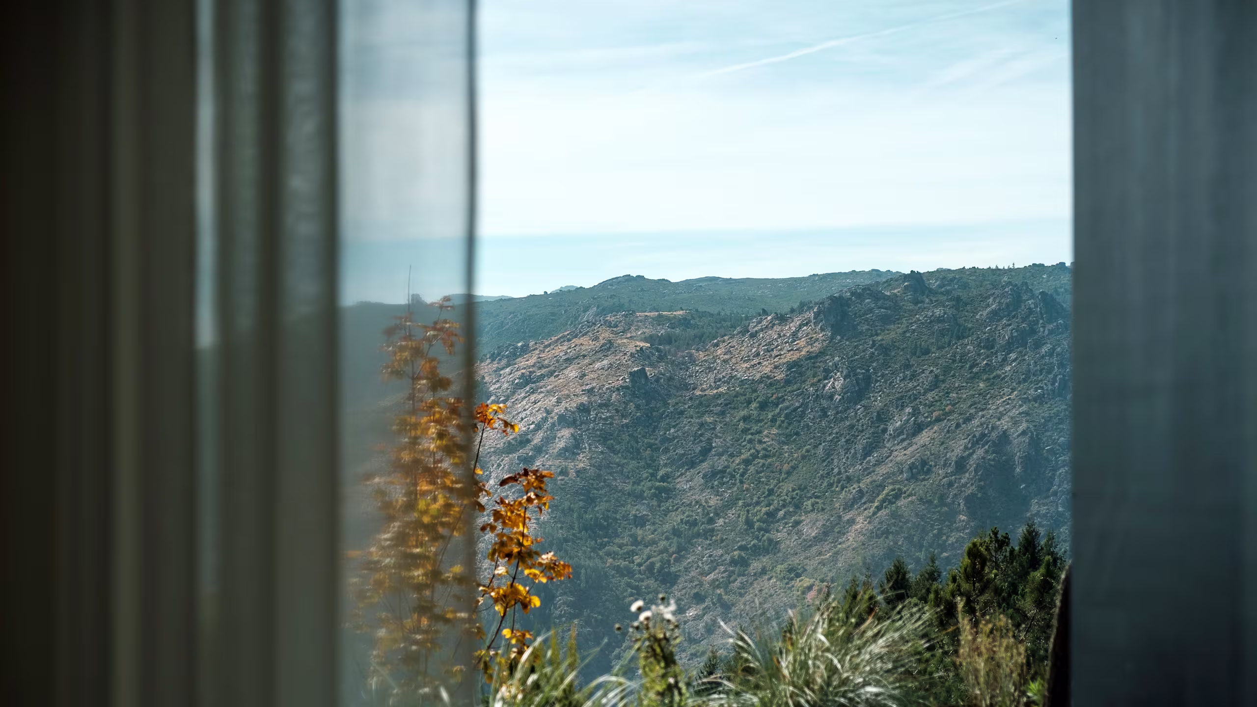 Suite Comfort Mountain - Image 2