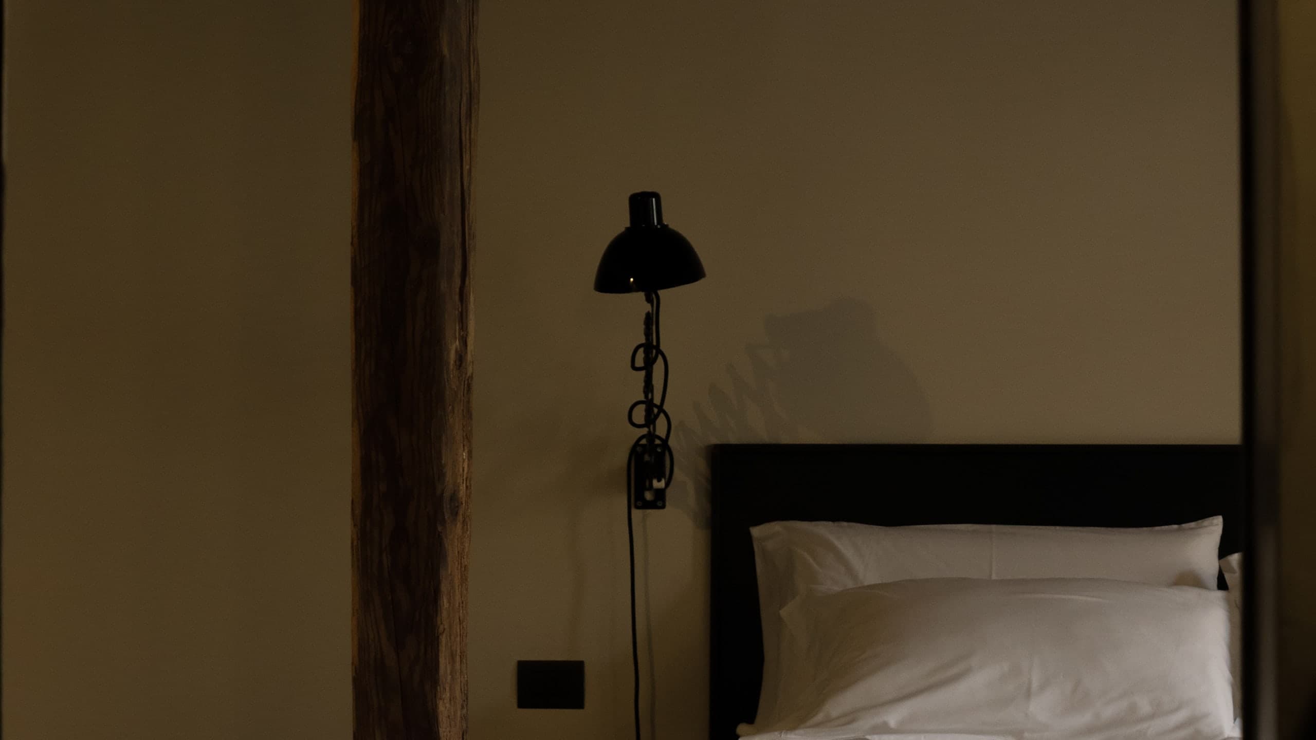 Palazzo Albricci Peregrini - Image 2