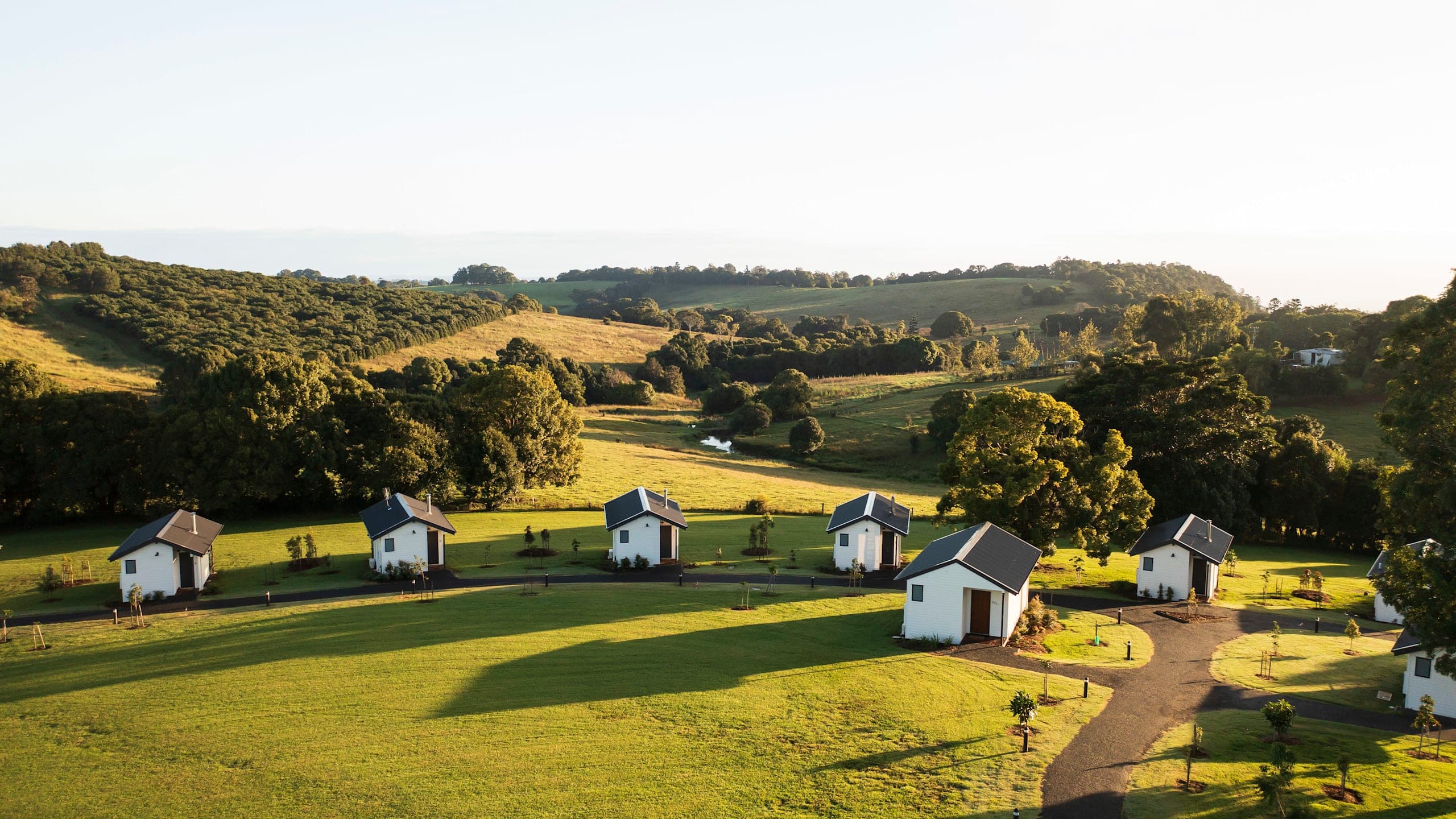 King Cabin - Image 6