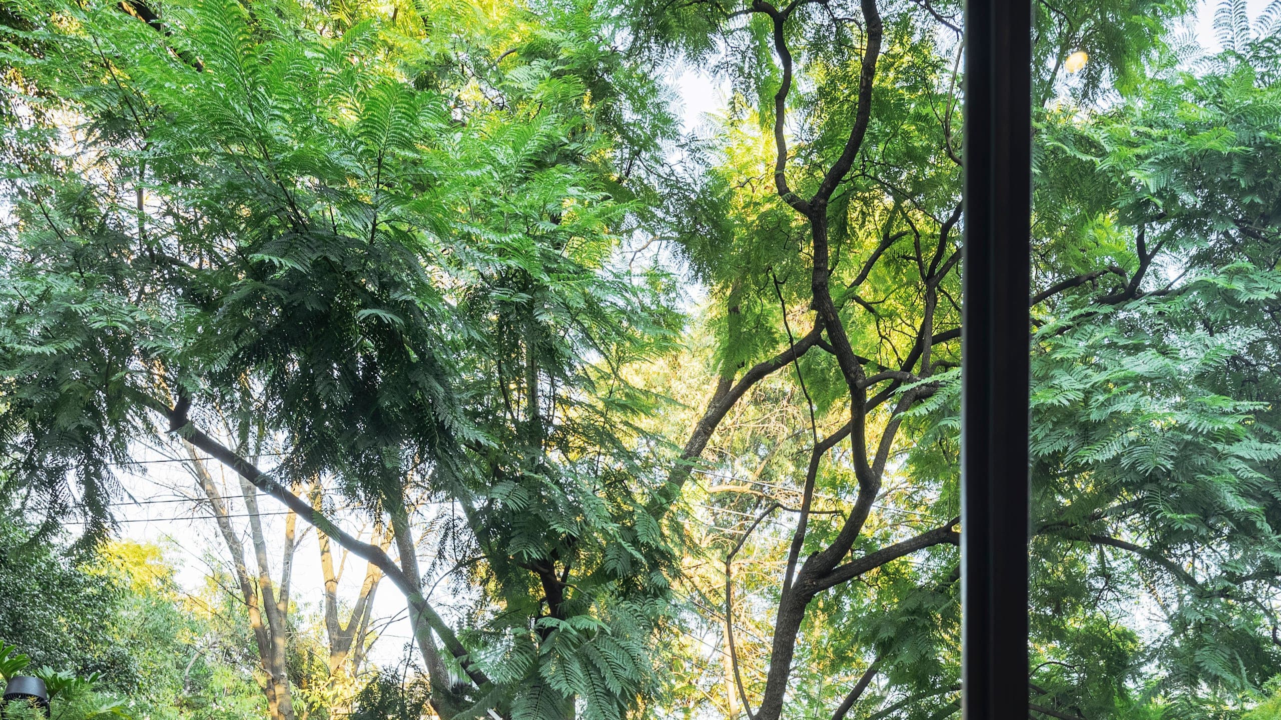 Brick Hotel - Image 5