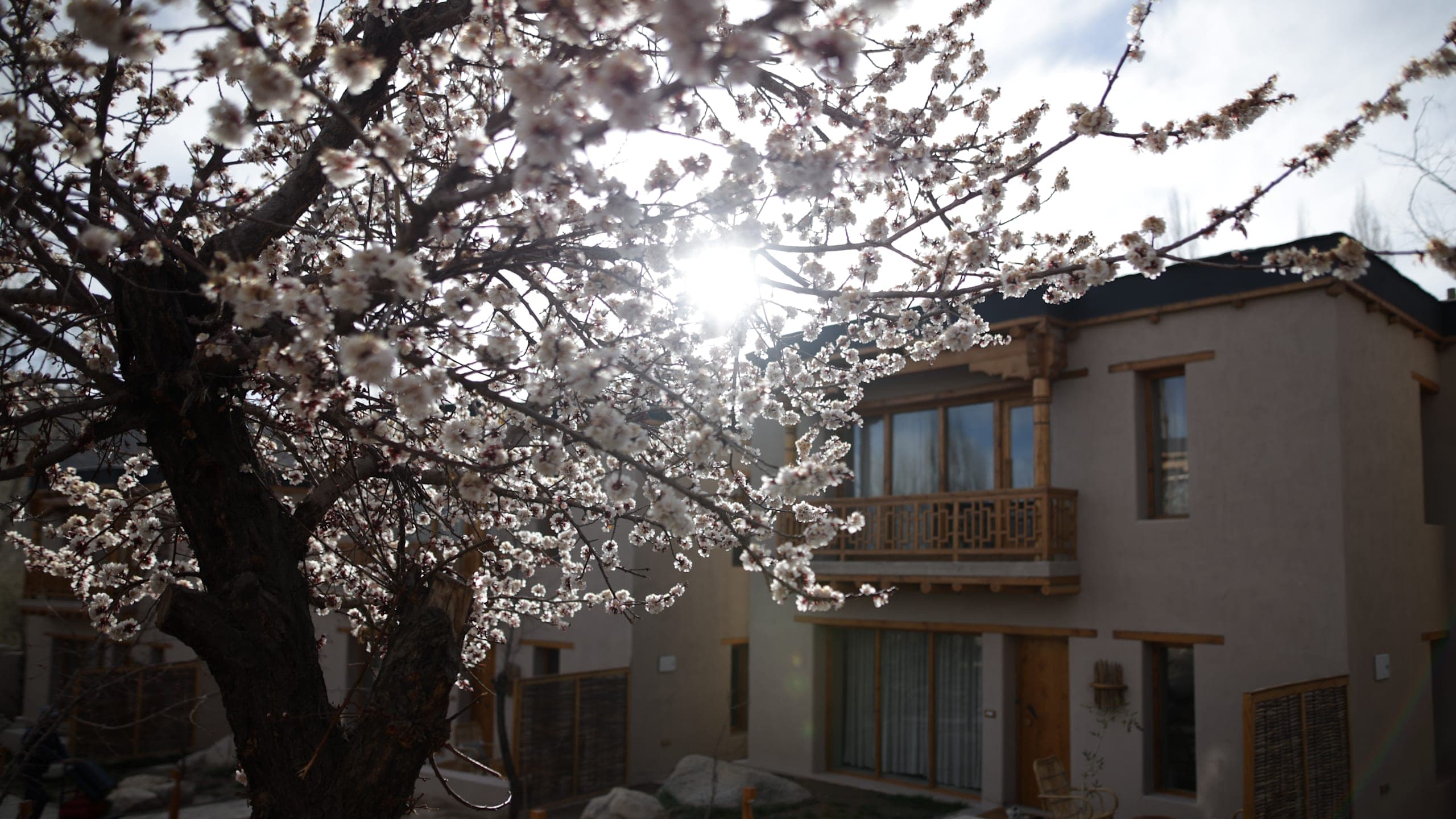 Luxury Duplex Villa with King Bed - Image 4