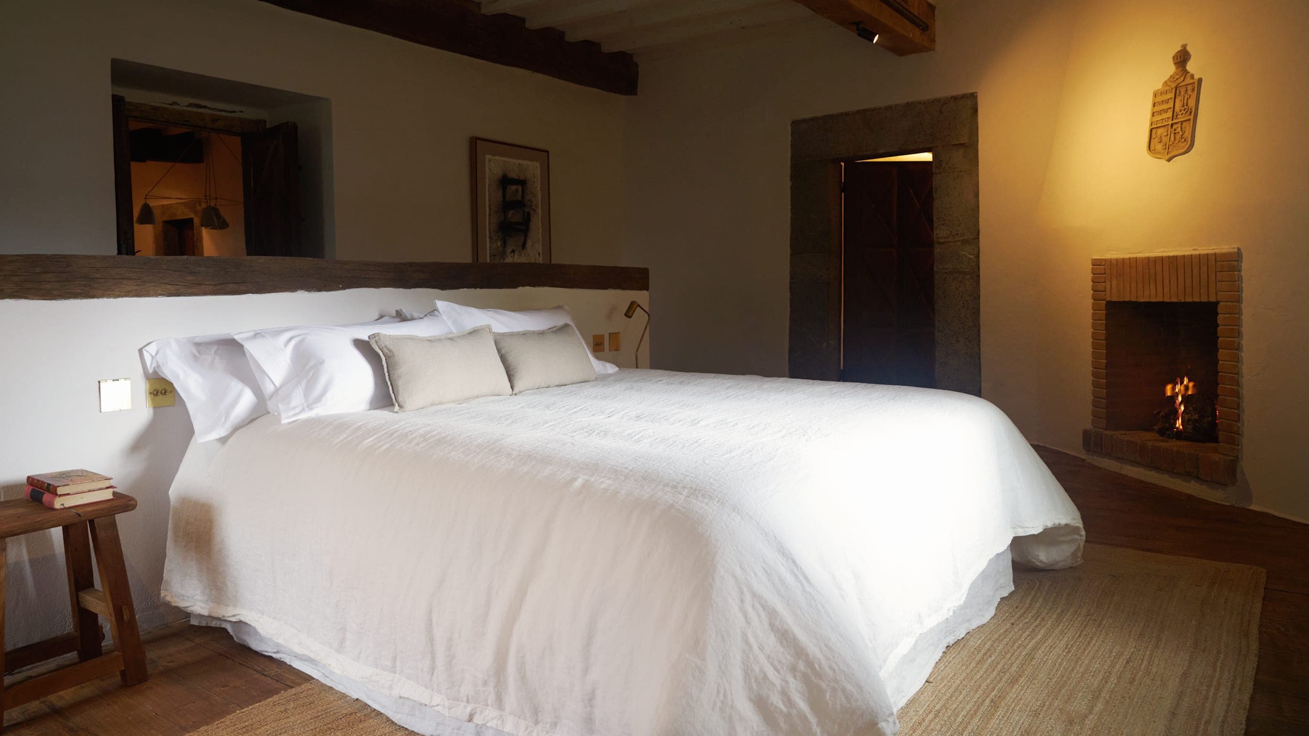 Solo Palacio - Image 3