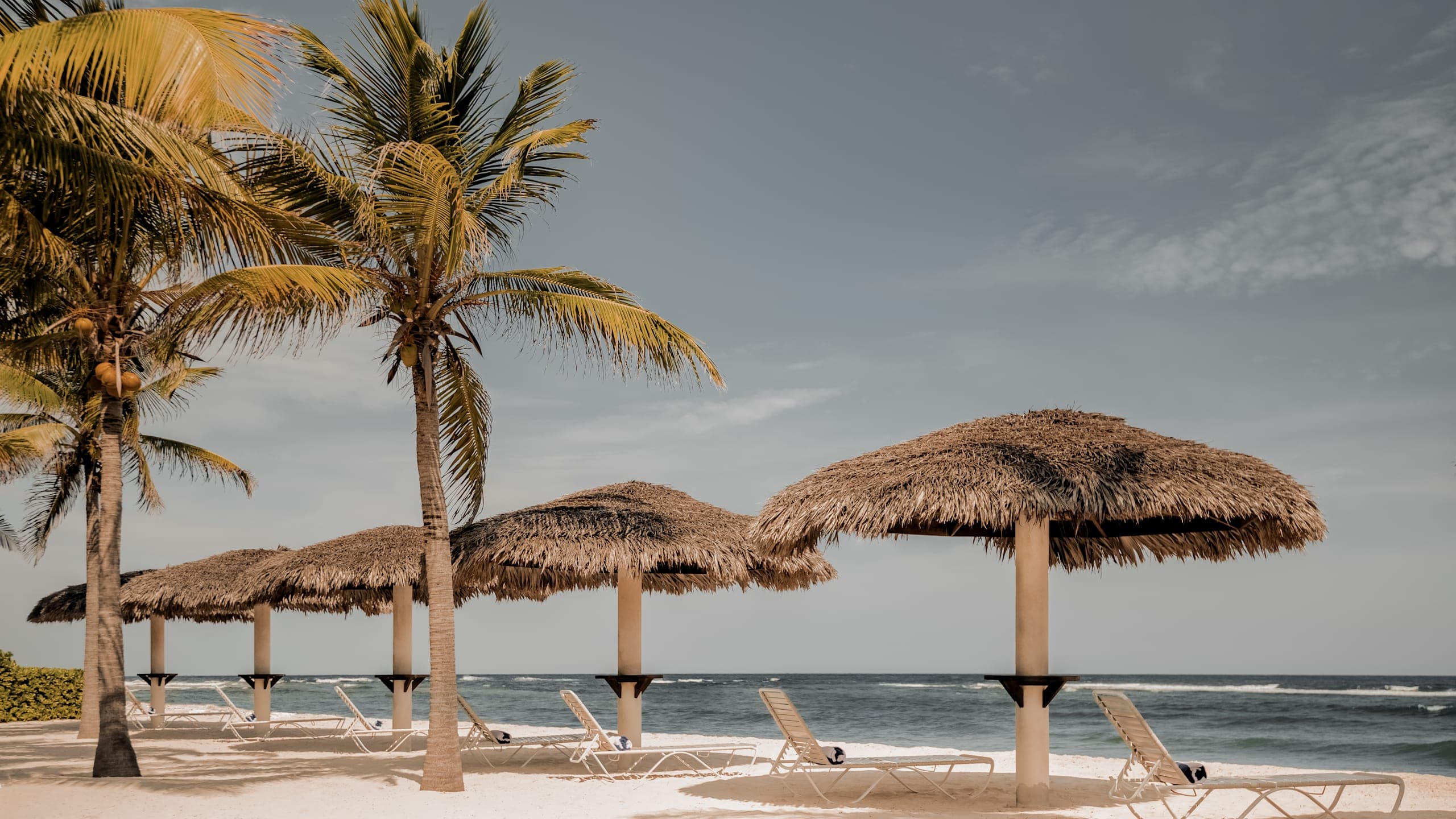 Le Soleil d'Or - Image 5