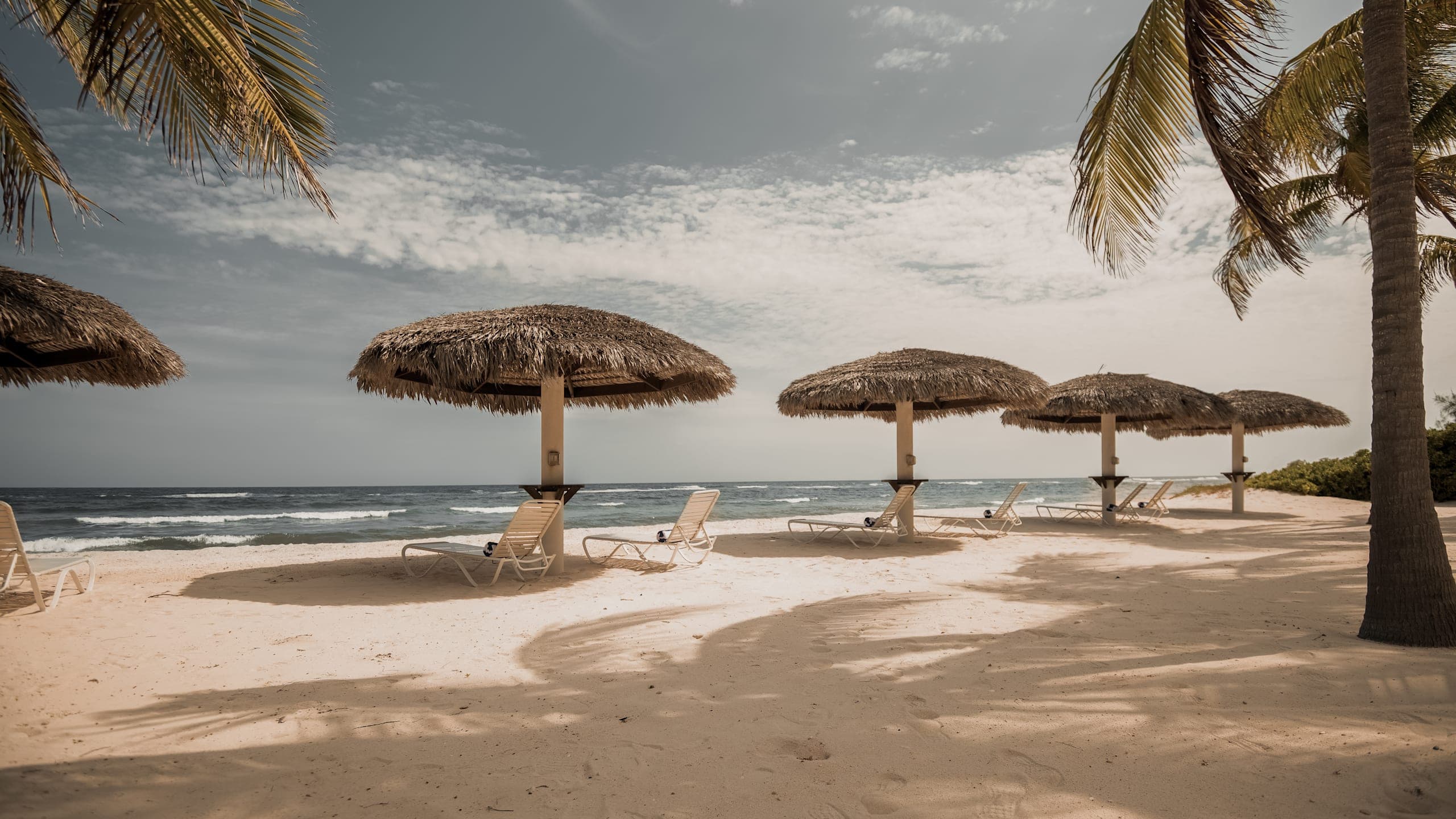 Le Soleil d'Or - Image 3