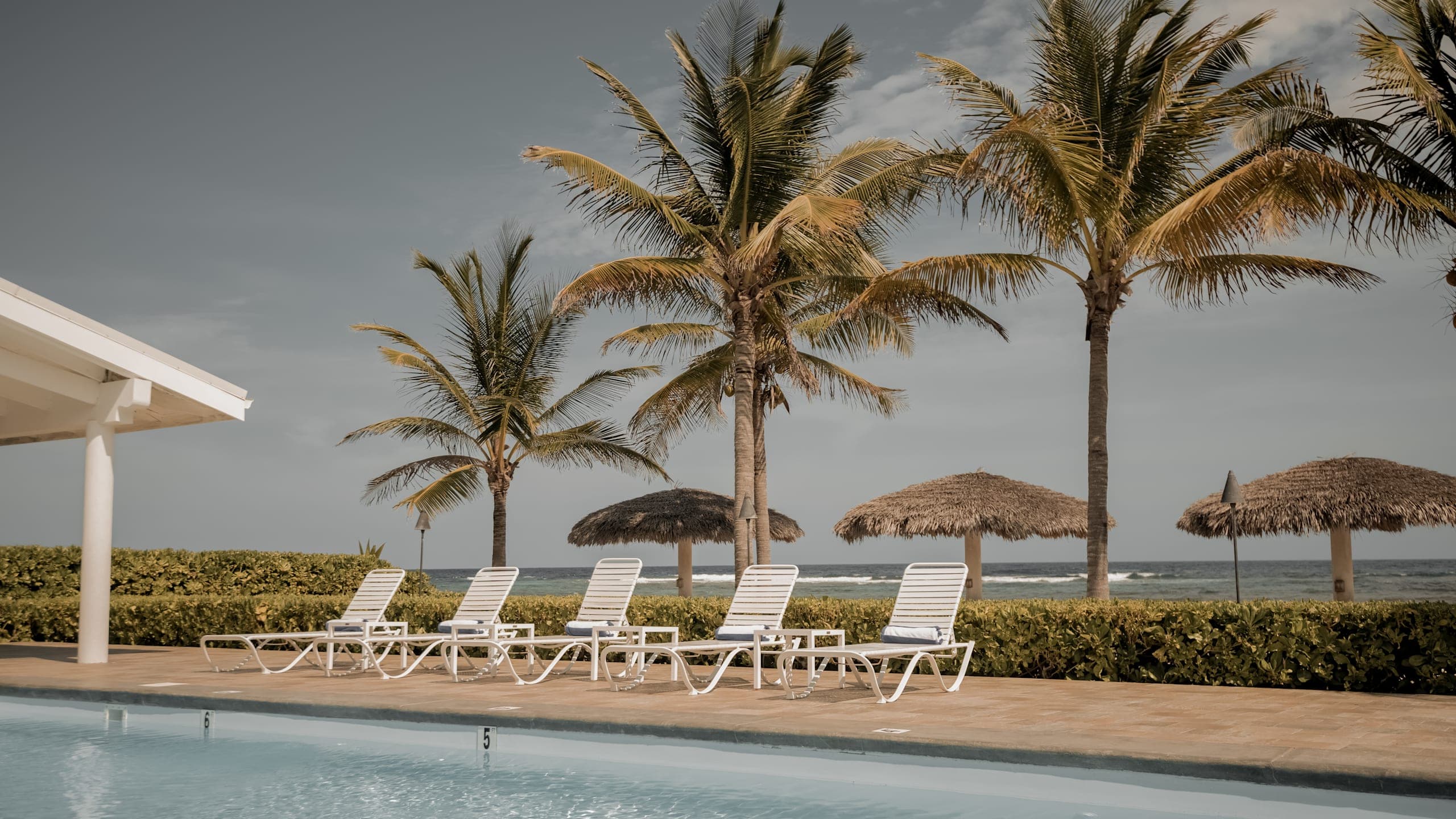 Le Soleil d'Or - Image 2