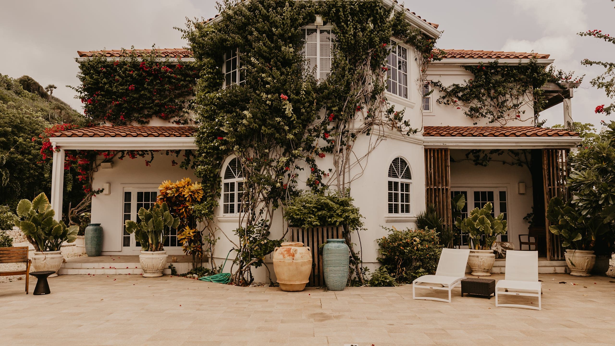 Pink Guava at The Manor House - Image 10