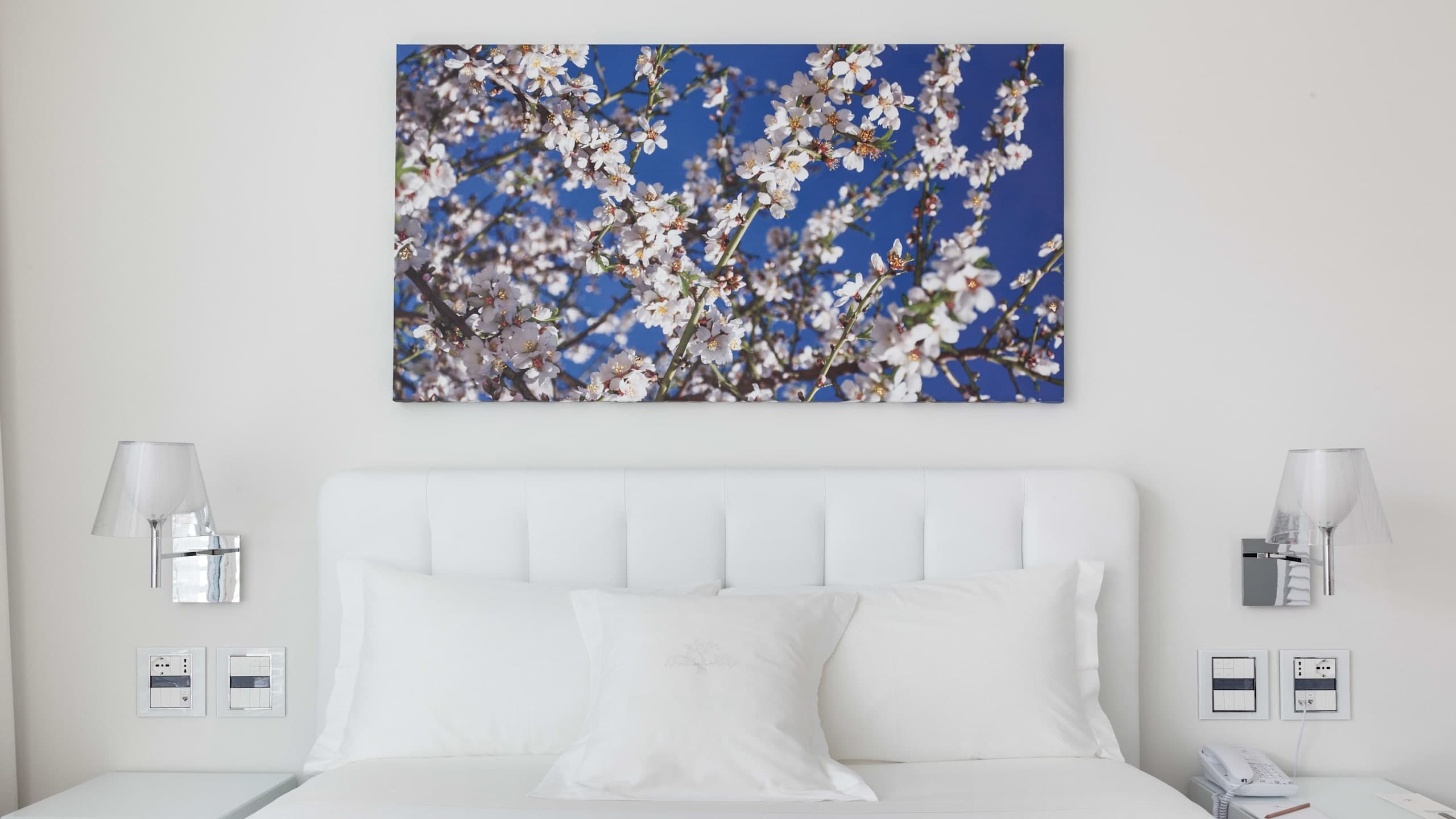 Junior Deluxe - Image 3