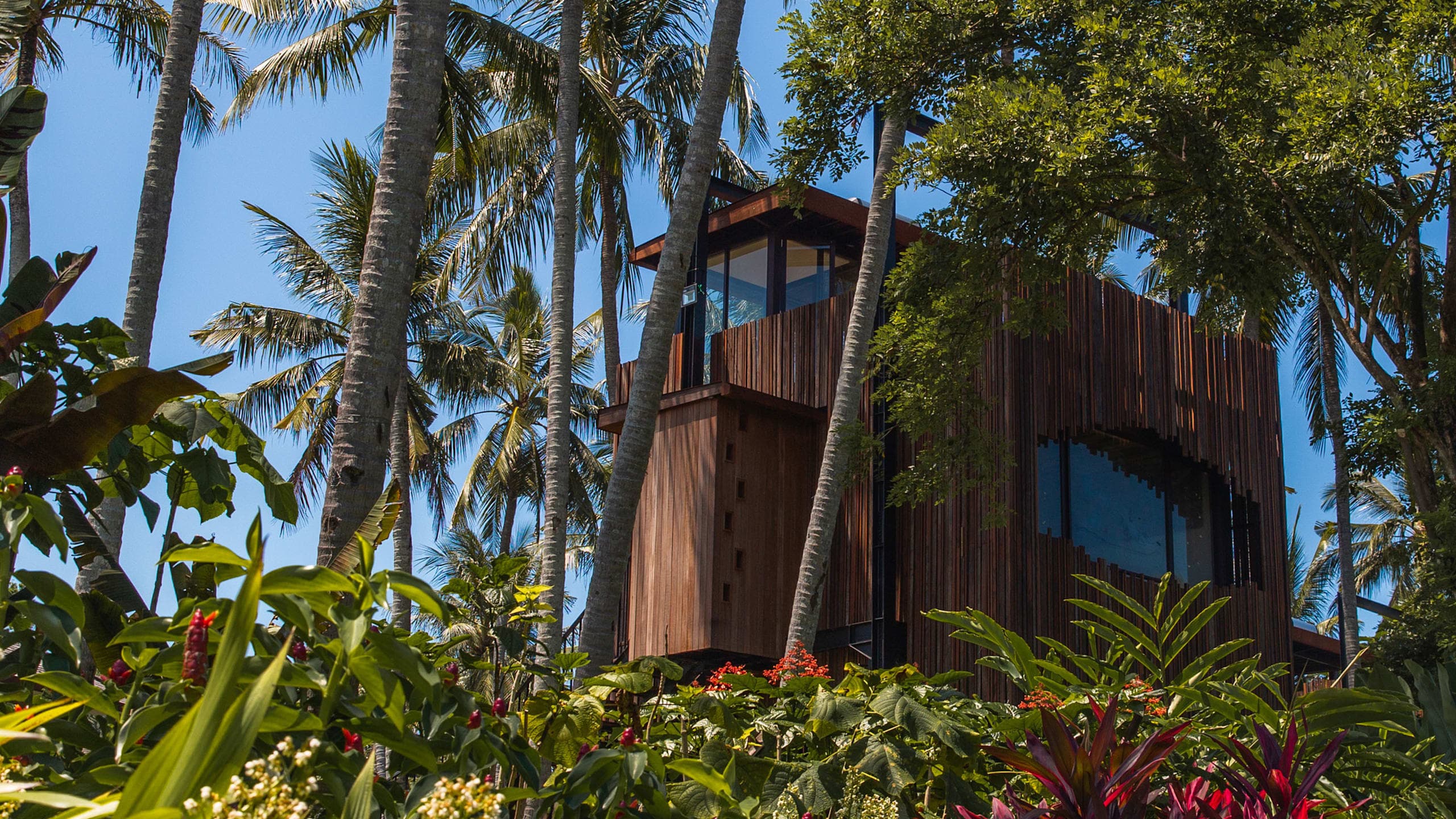 Canopy Suite - Image 2