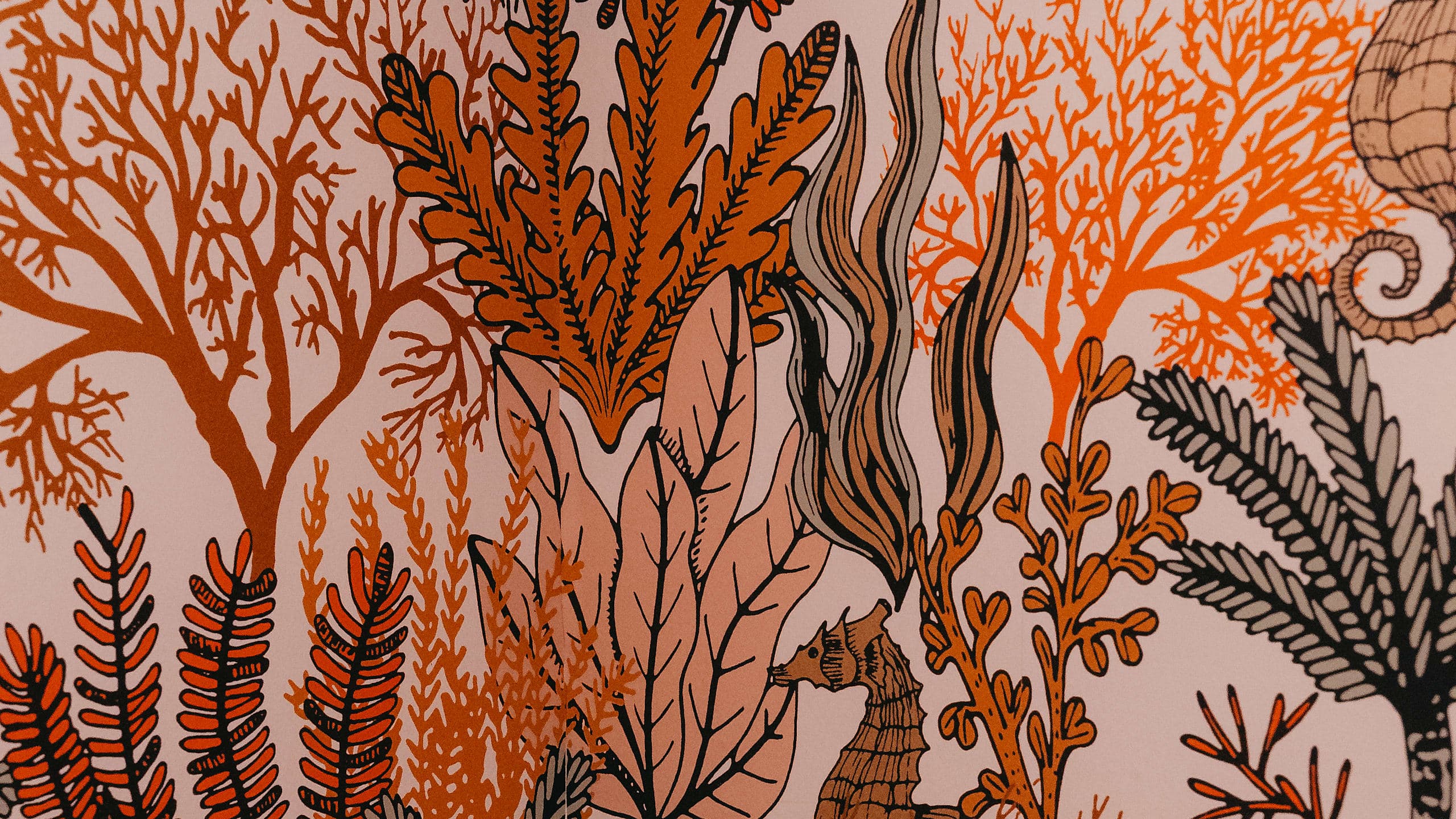 Junior Suite - Image 3