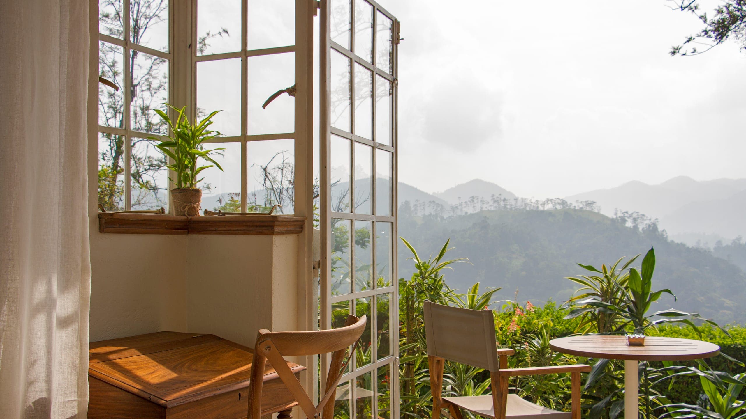 The Ella Rock Suite - Image 2