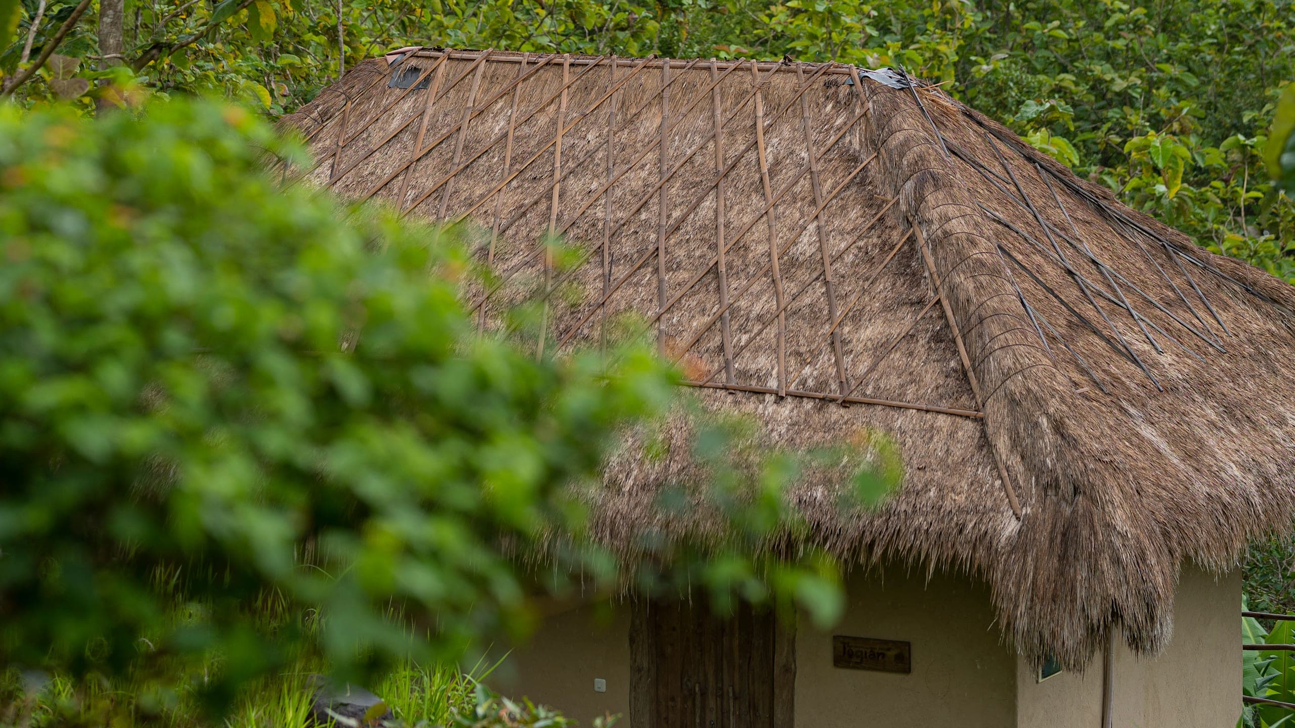 Family Lodge - Image 5