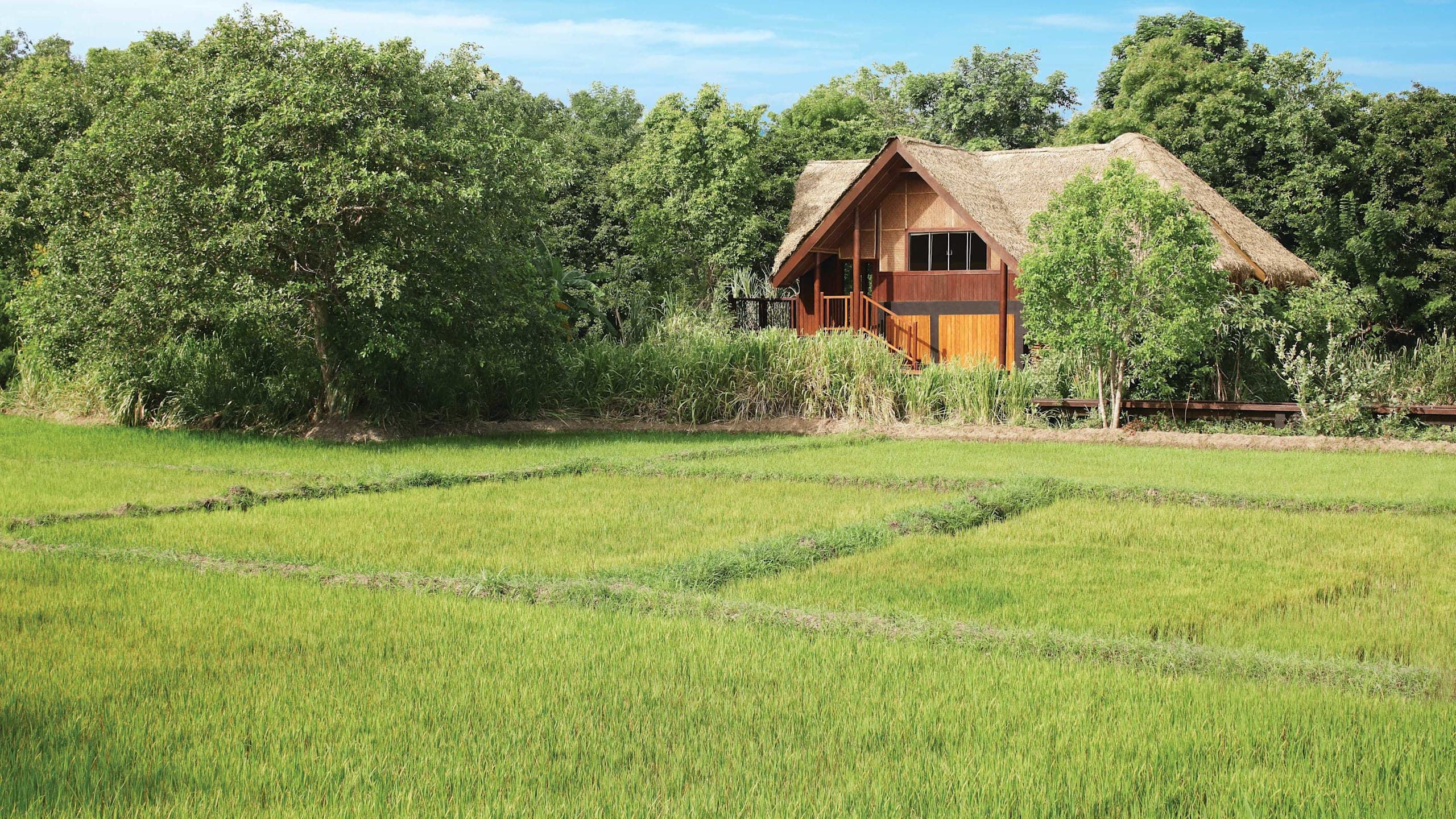 Paddy Dwelling with Pool - Image 1