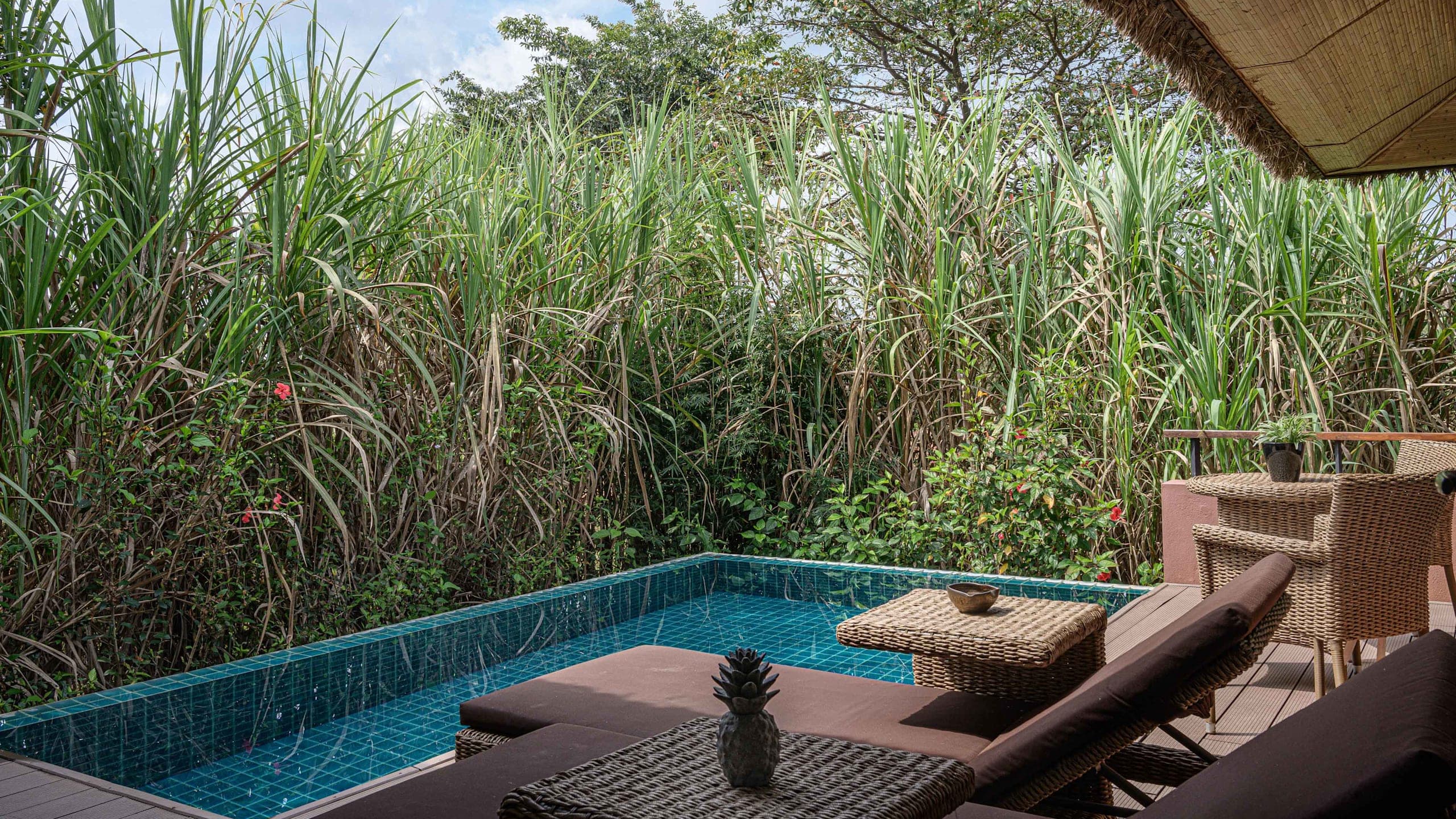 Duplex Twin Villa with Plunge Pool - Image 6