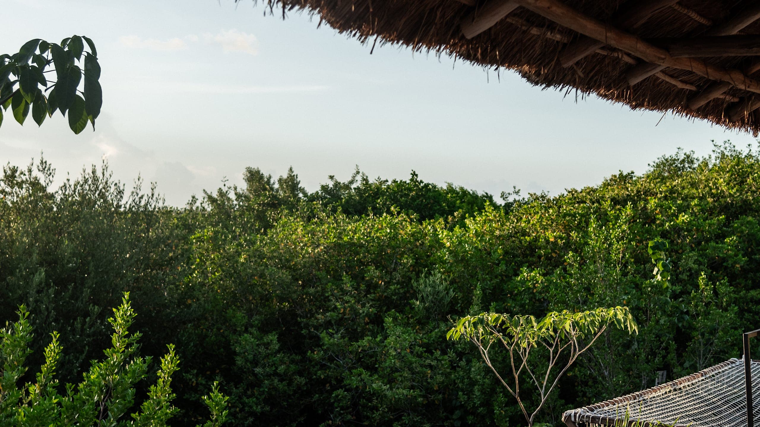 Radhoo Tulum - Image 5