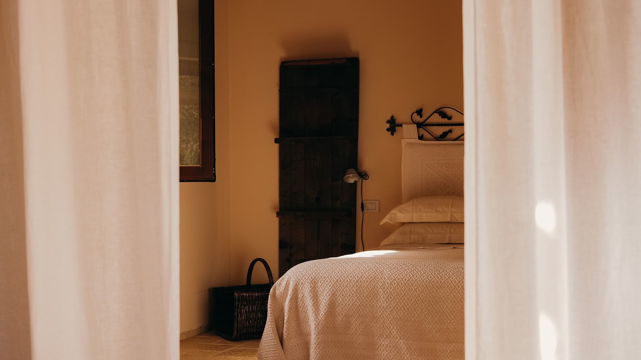 Albero Capovolto - Image 5