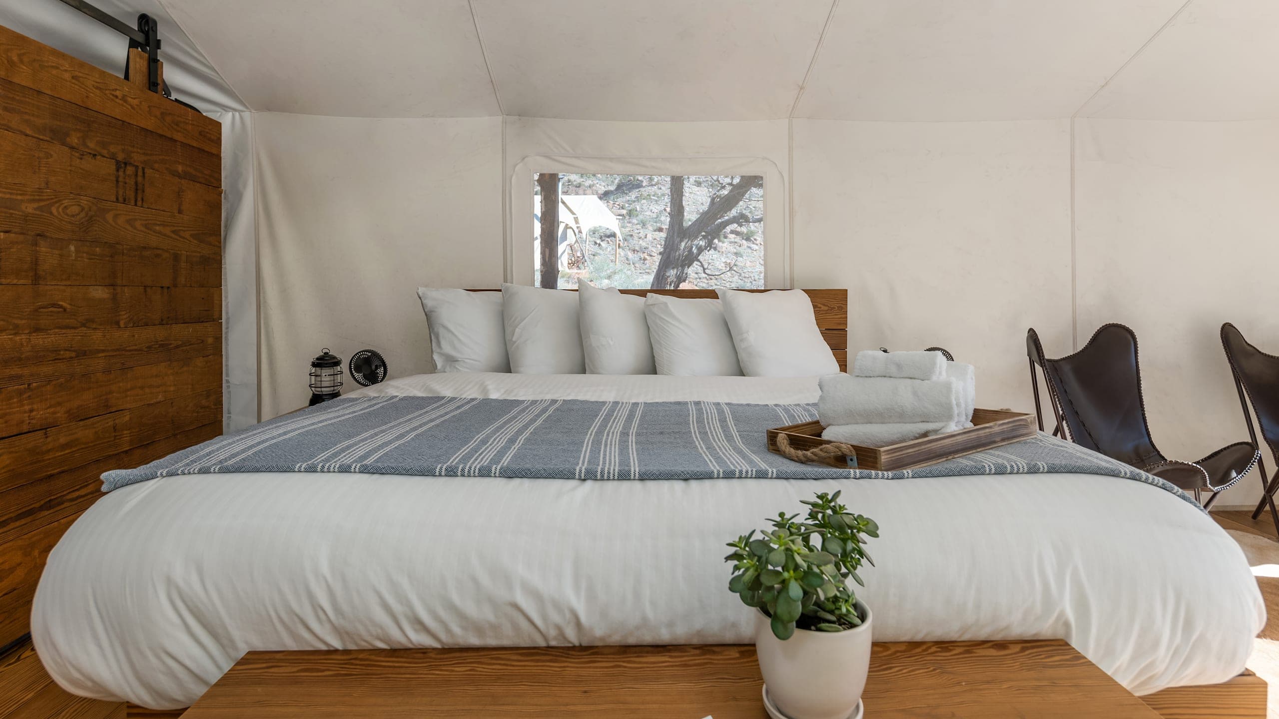 Deluxe Tent - Image 7