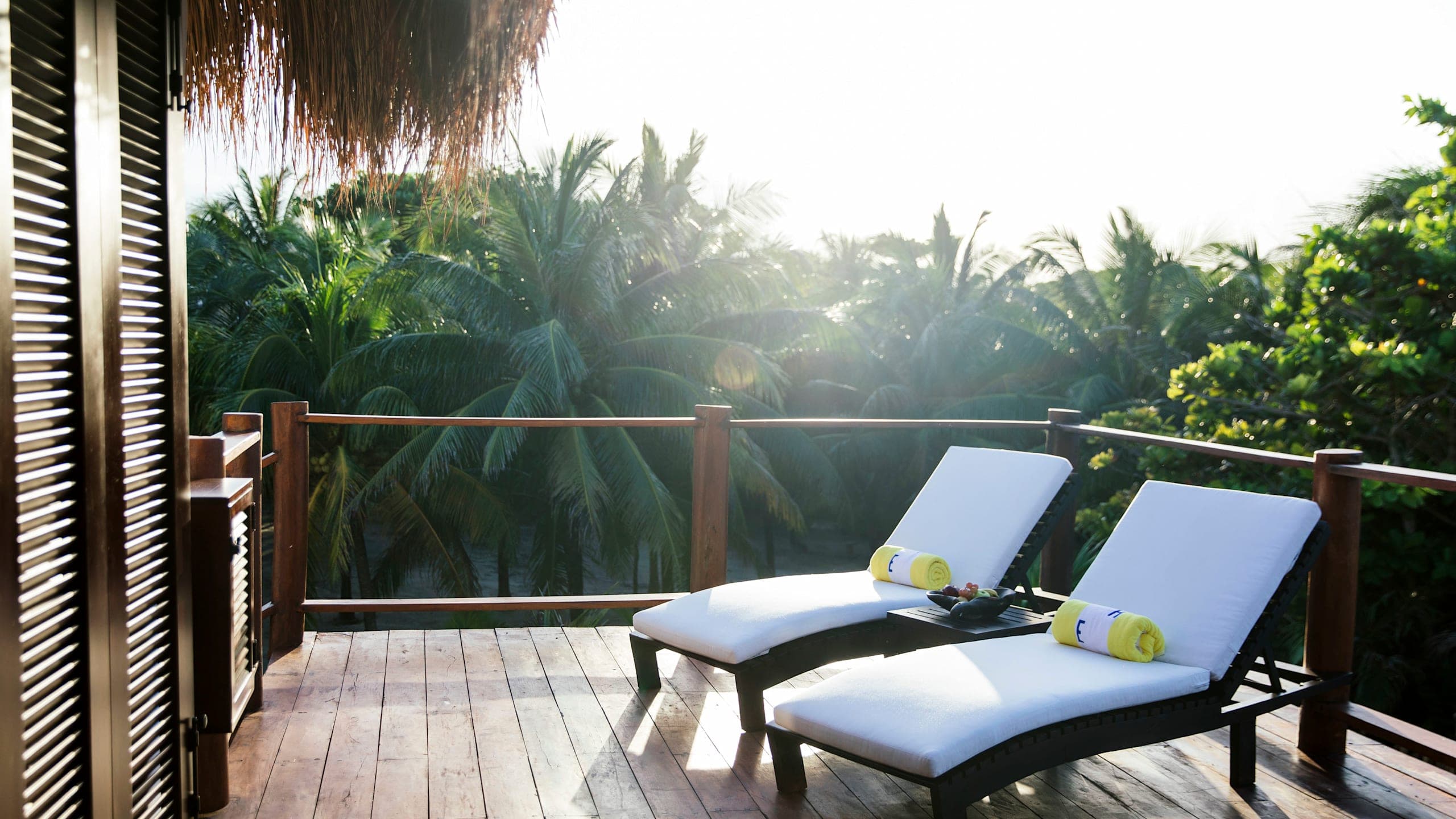 Jungle Suite - Image 8