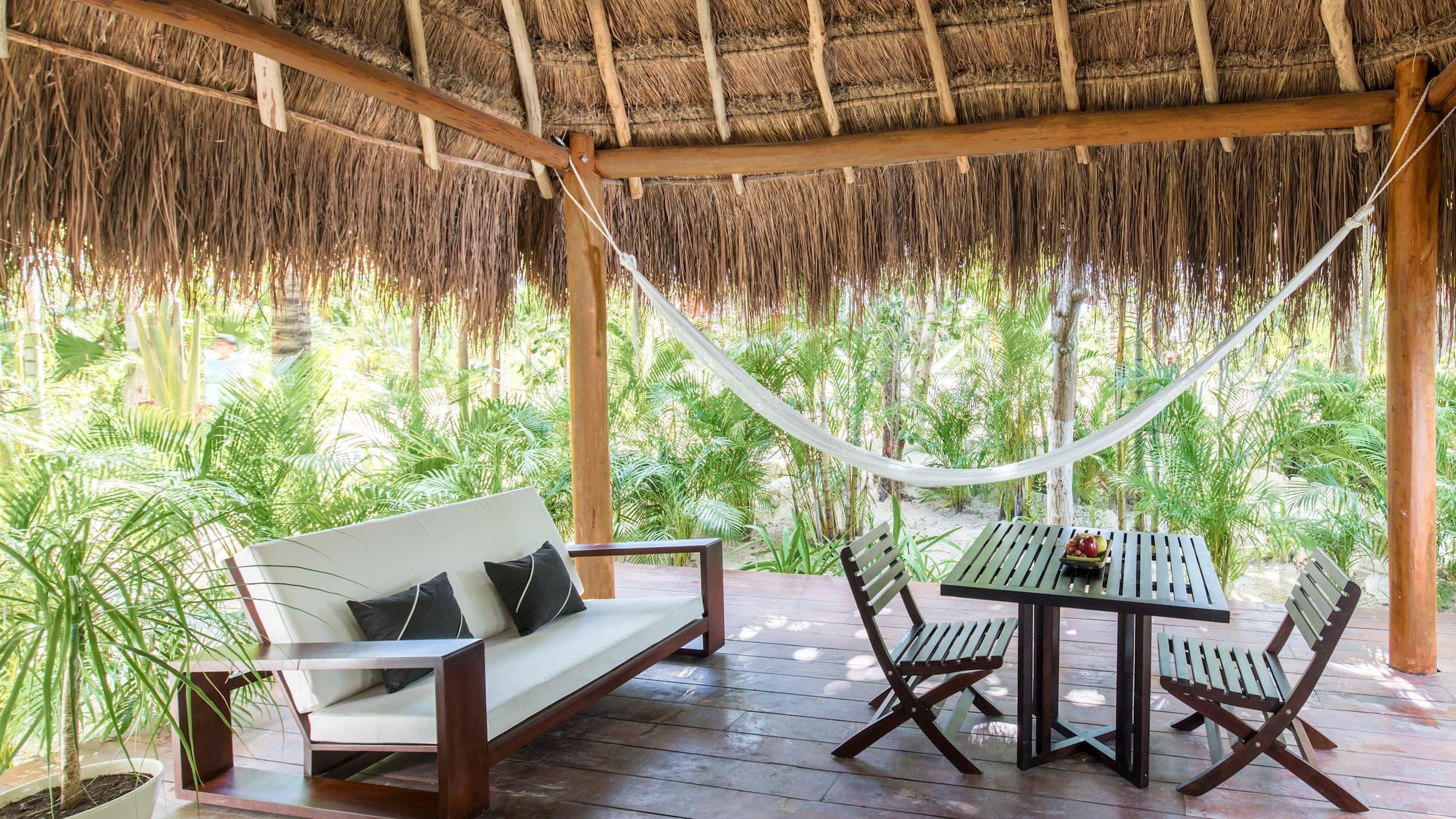 Jungle Suite - Image 3