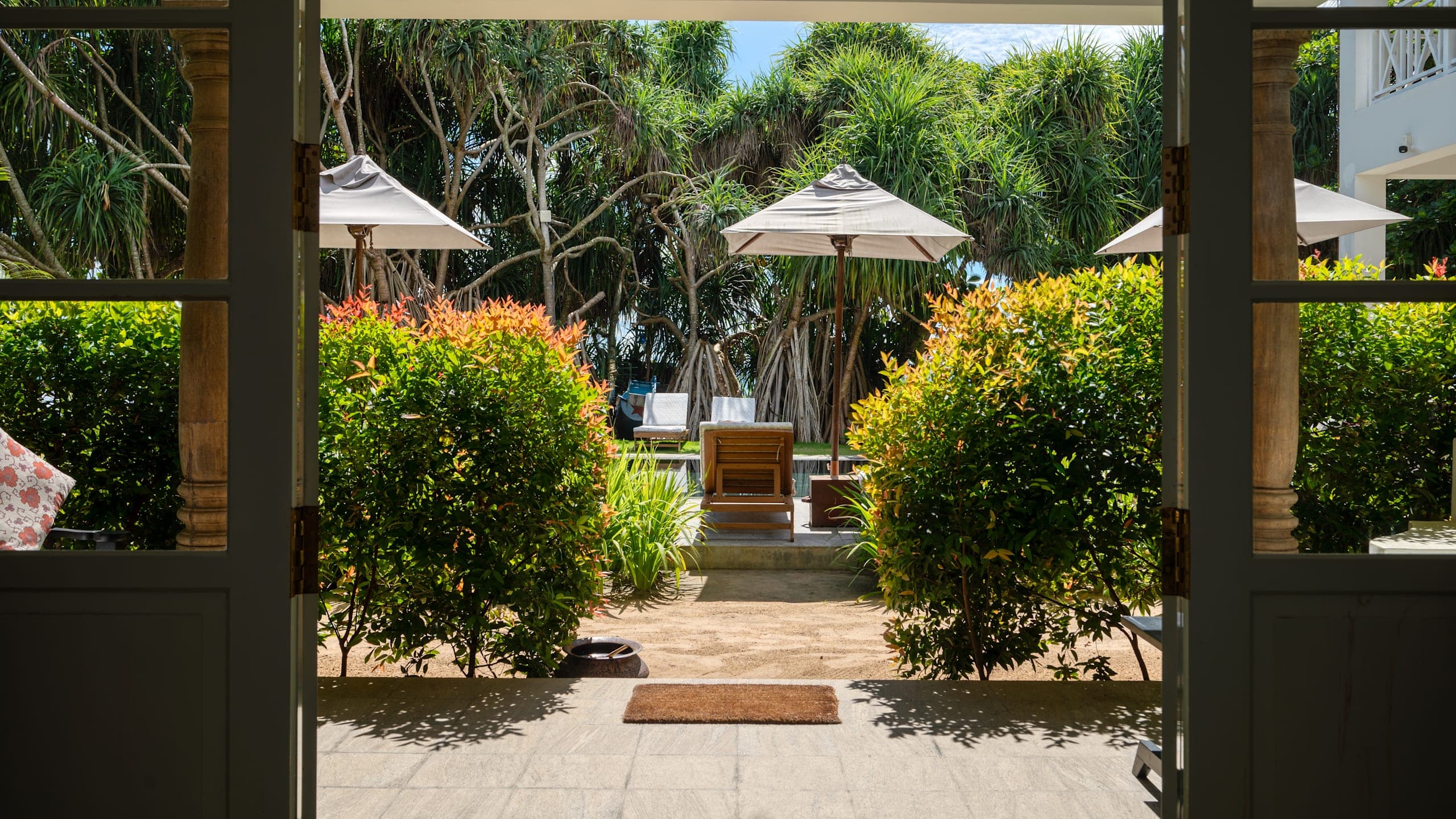 Halcyon Mawella - Image 2