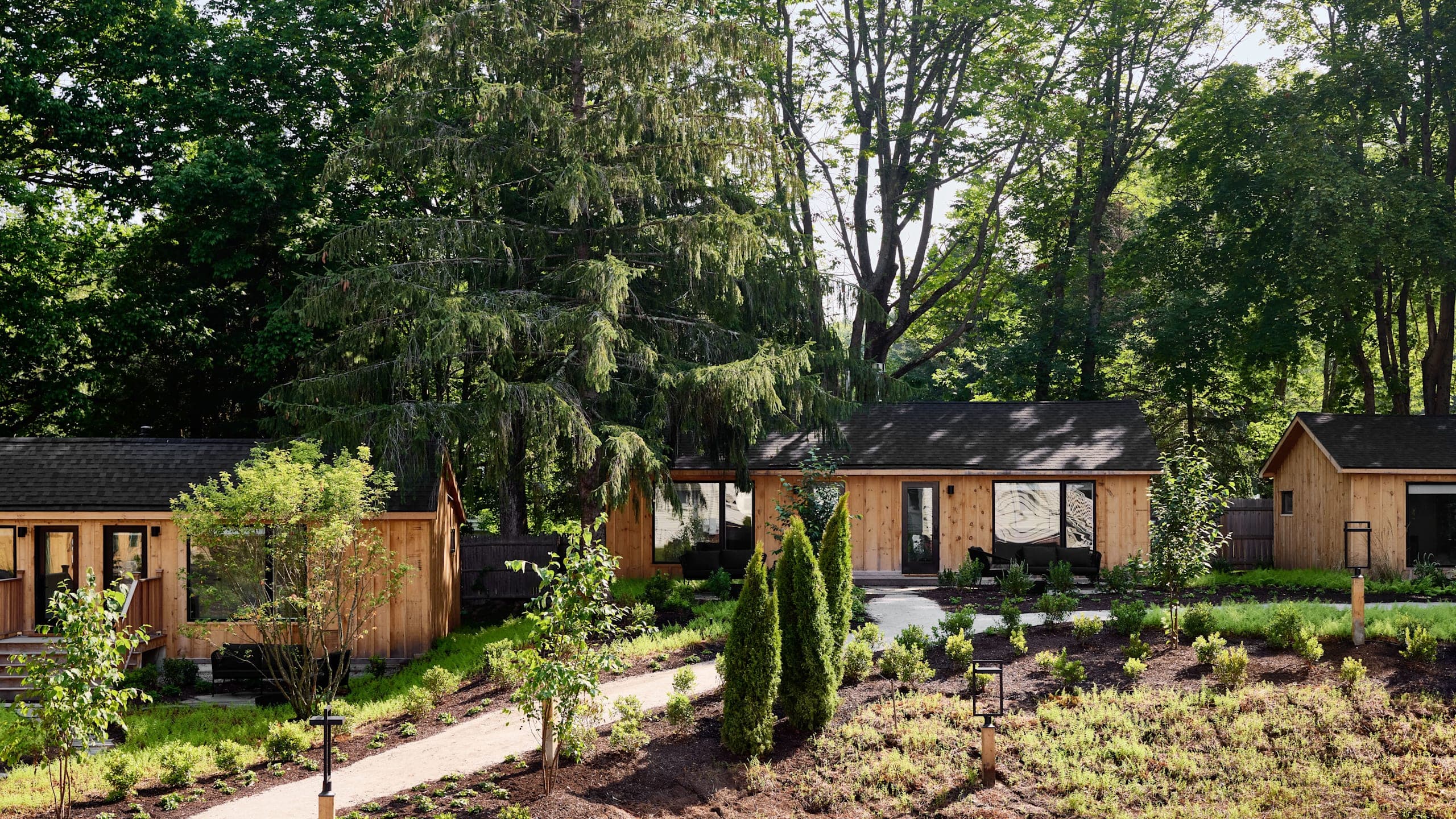 Deluxe Cabin Studio - Image 1