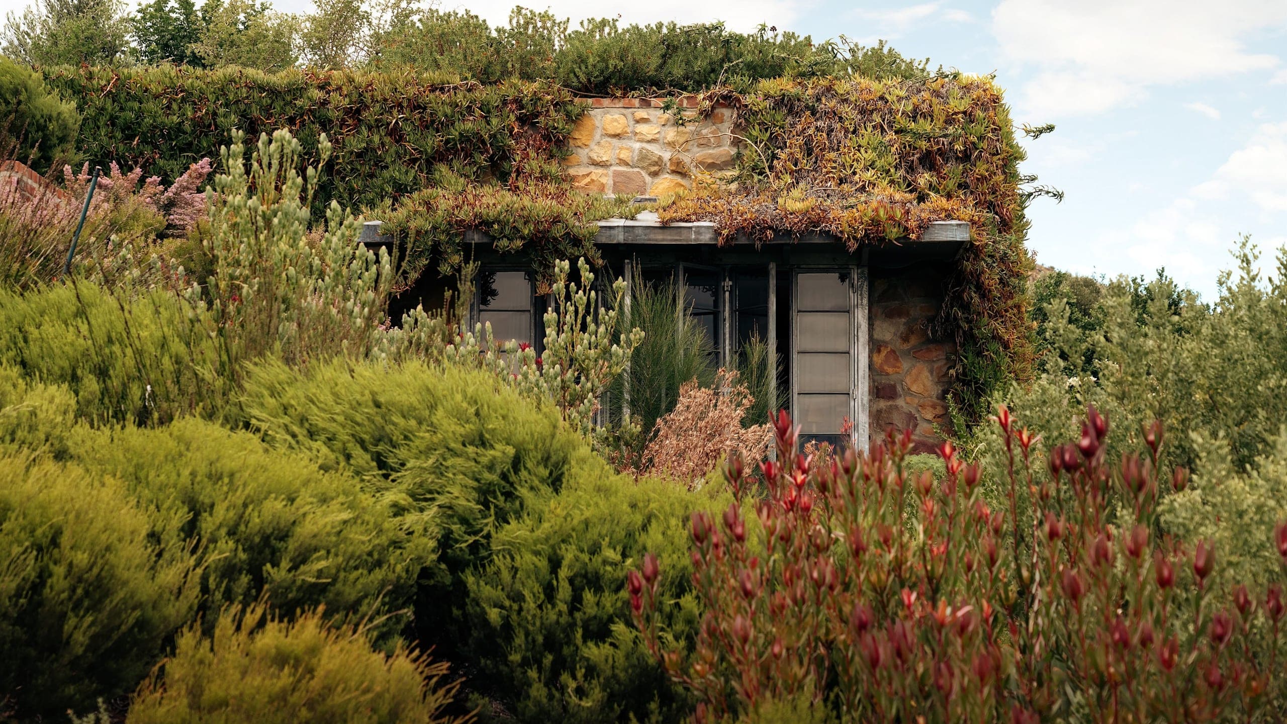 Valley Suite - Image 1