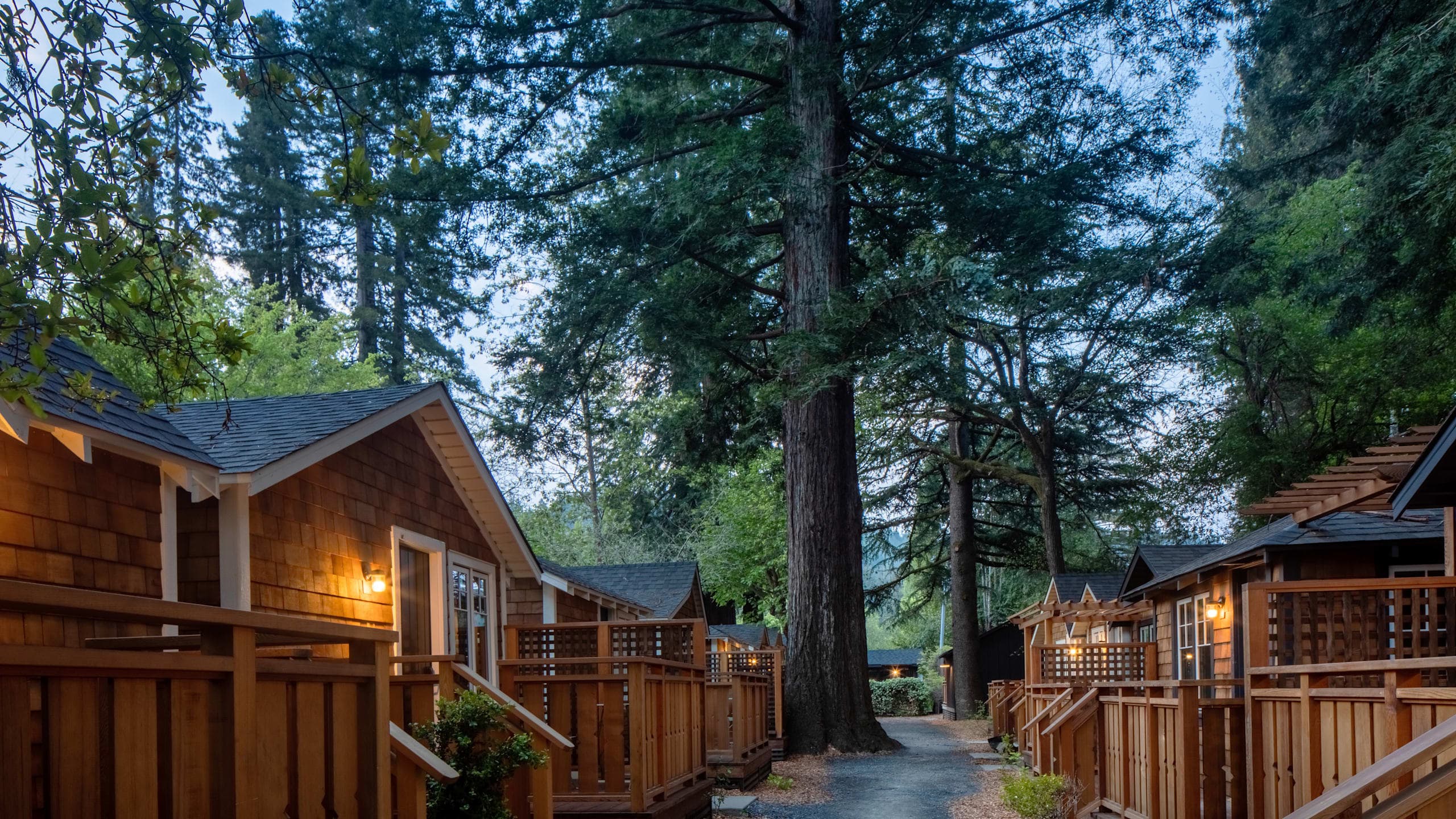 Redwood Cabin | Queen | Under Redwoods - Image 3