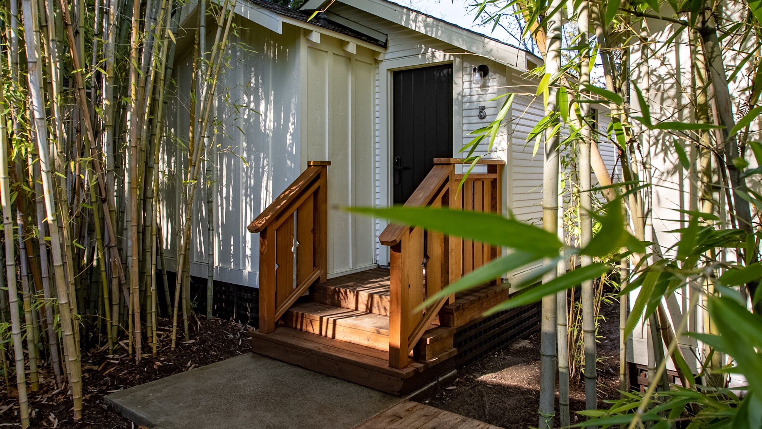 Redwood Cabin | Queen | Under Redwoods - Image 2