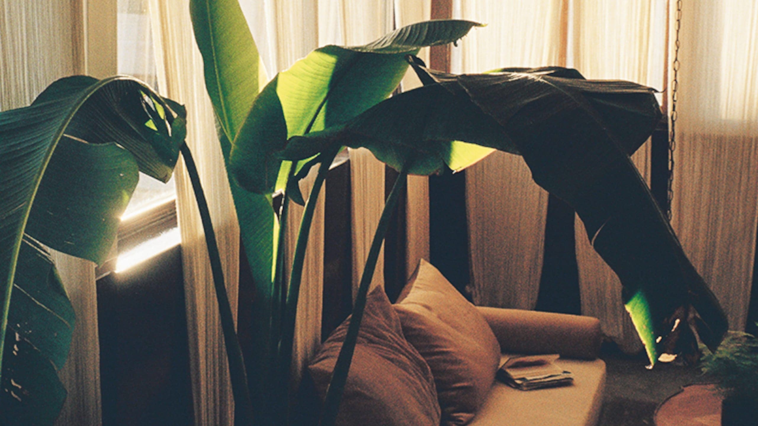 Mona's Suite - Image 6