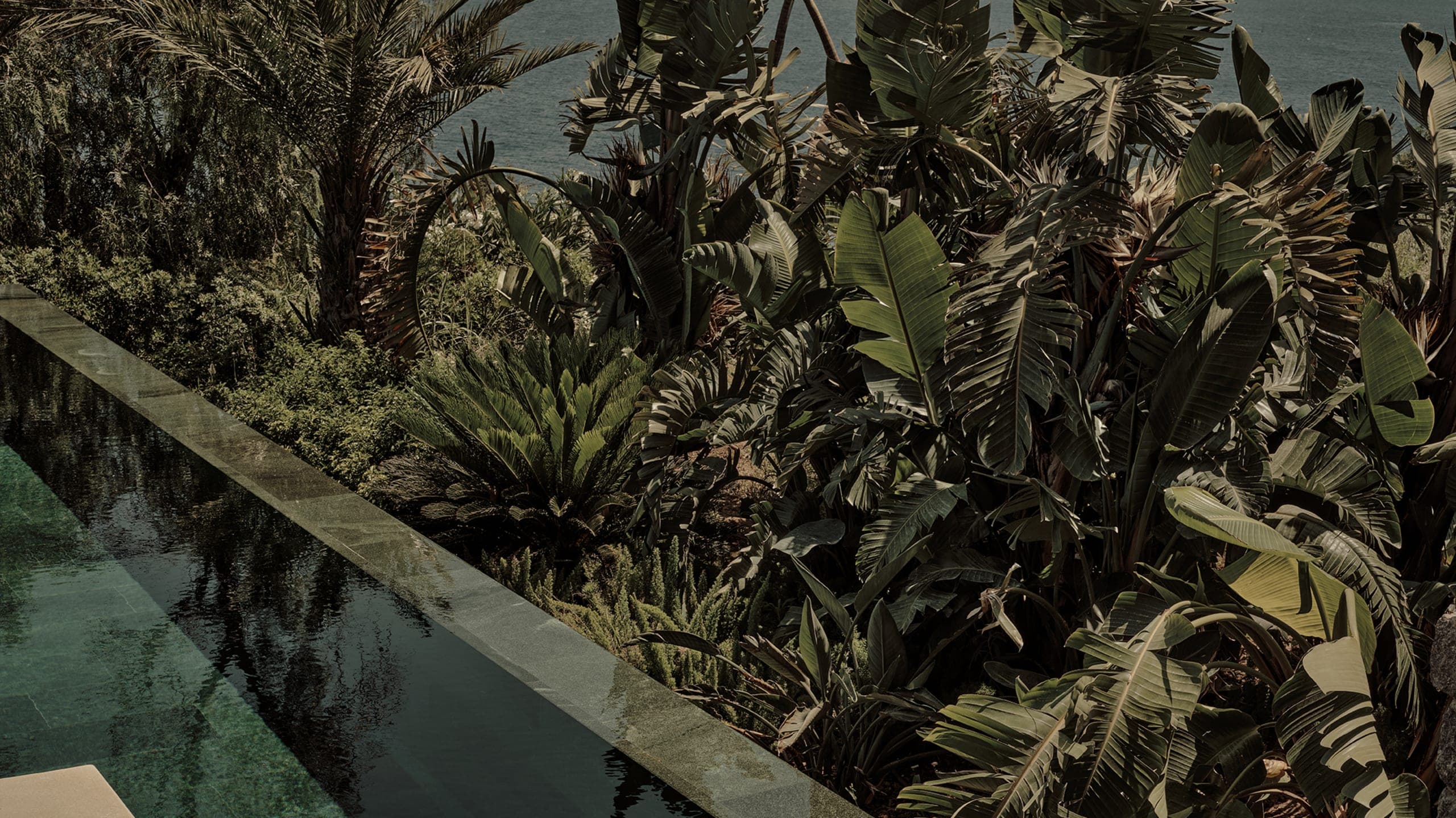 Scorpios Bodrum - Image 2