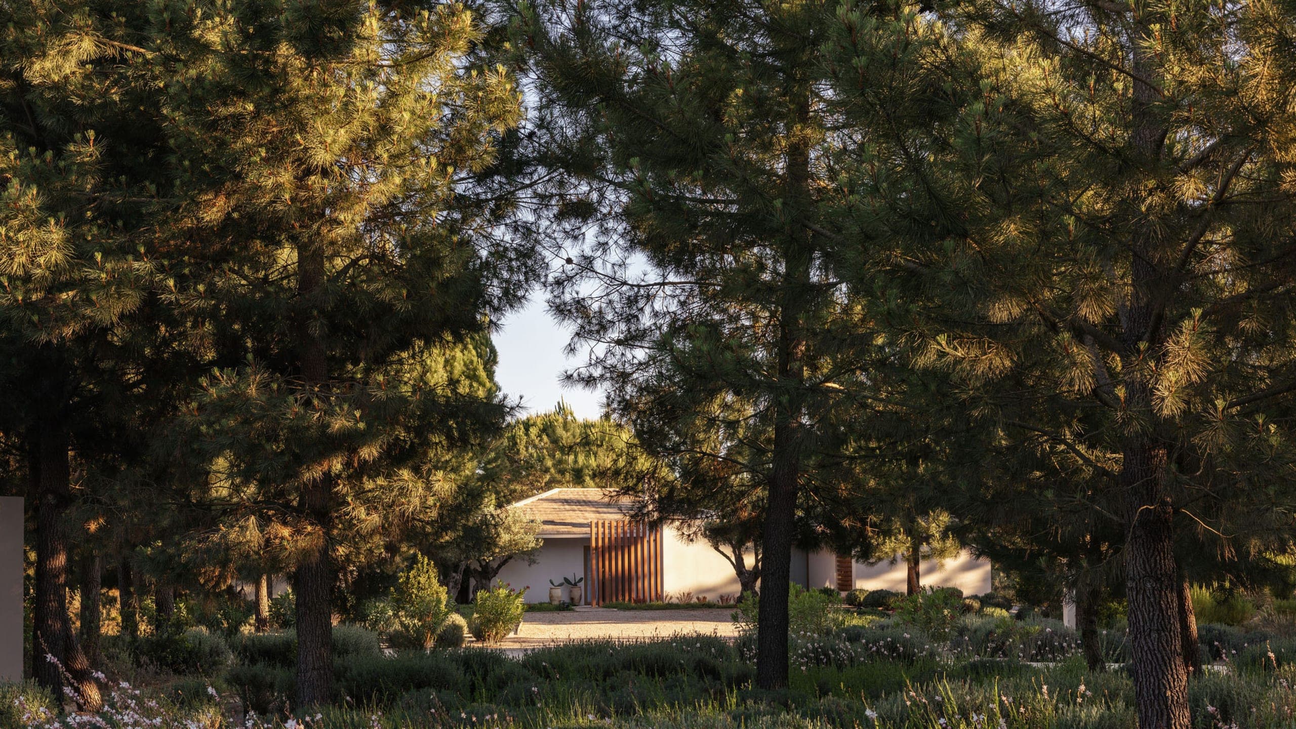 Deluxe Room with Exterior Courtyard - Image 4