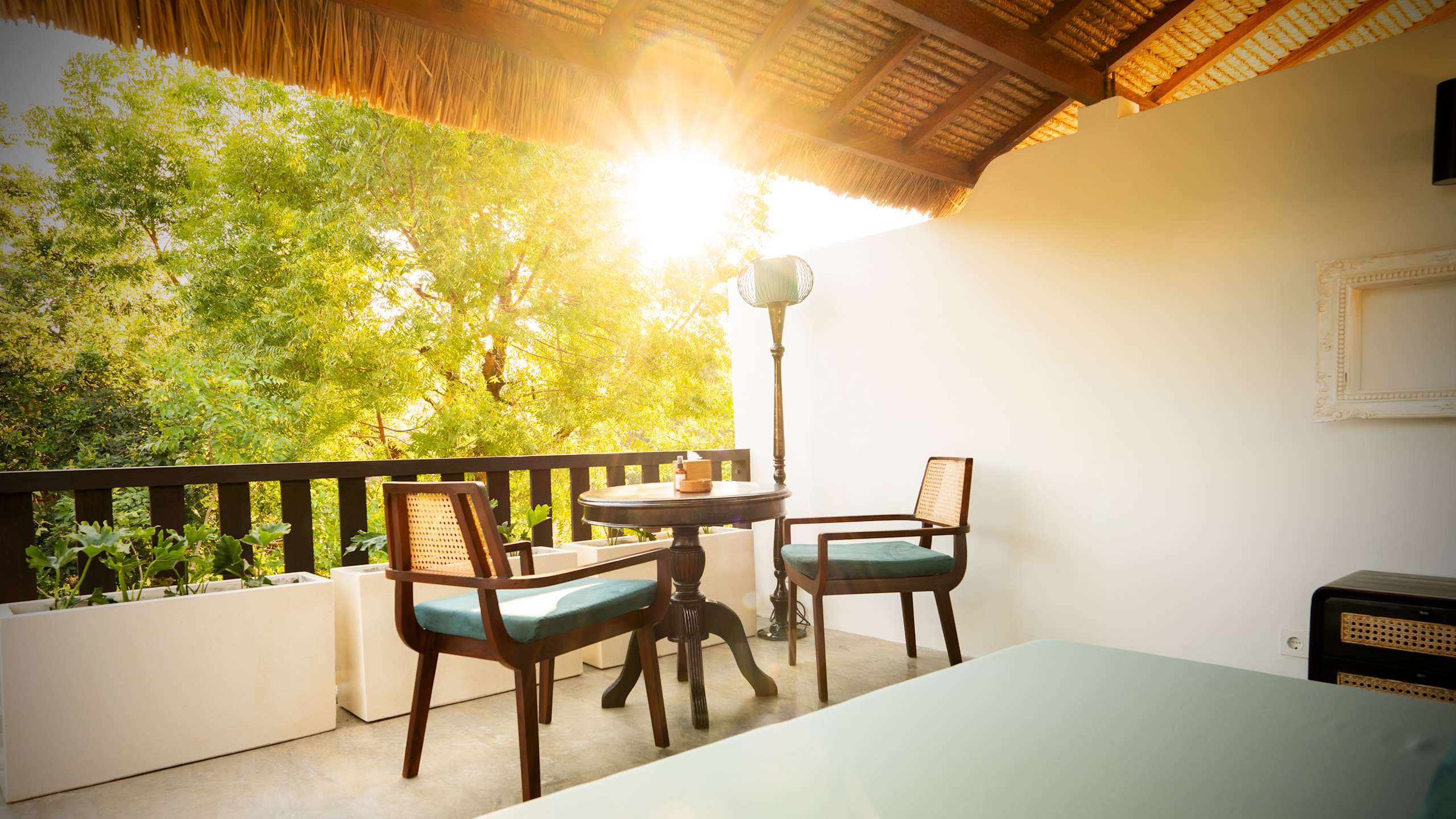 The Sunset - Image 1