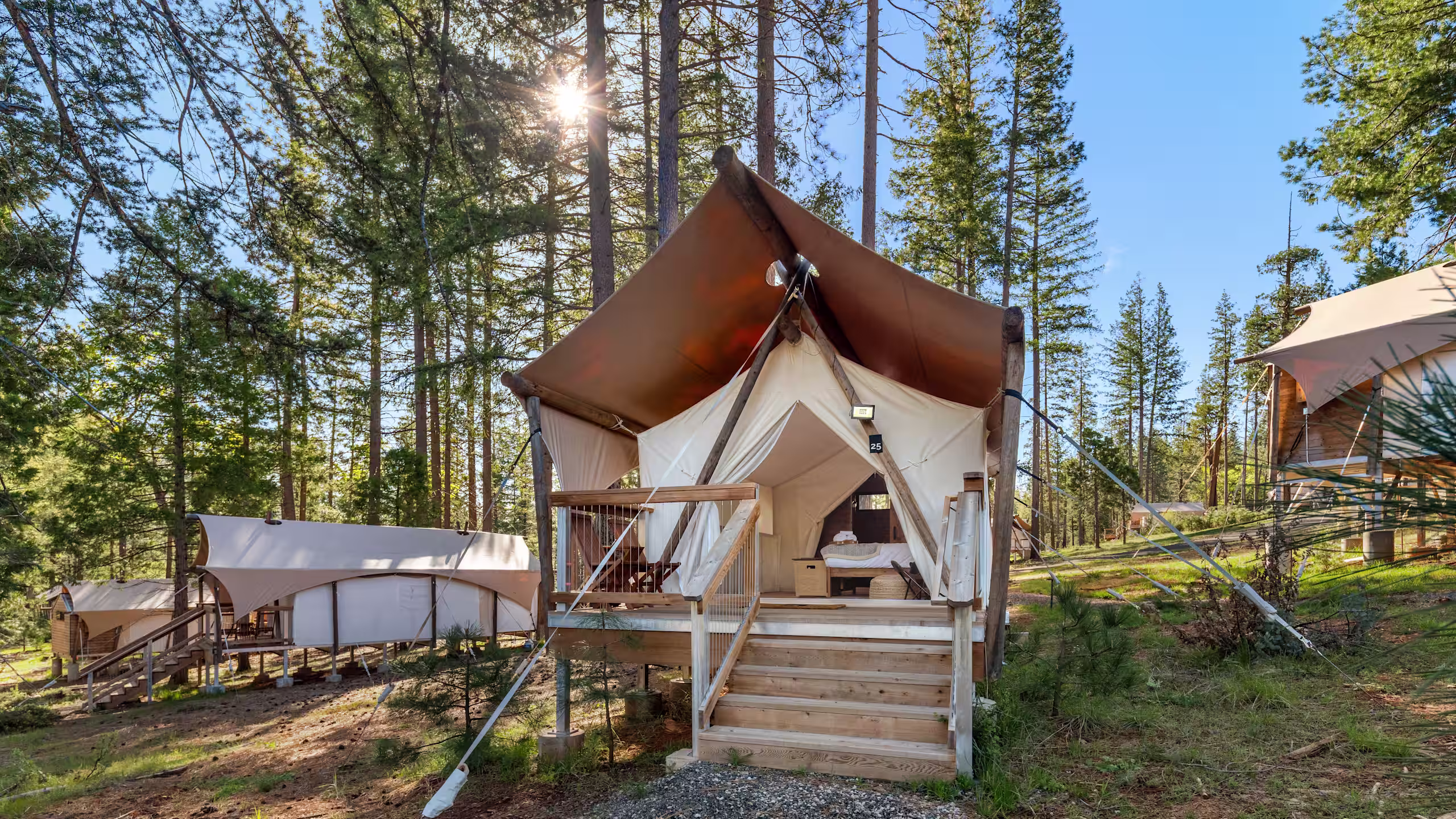 Under Canvas Yosemite - Image 4