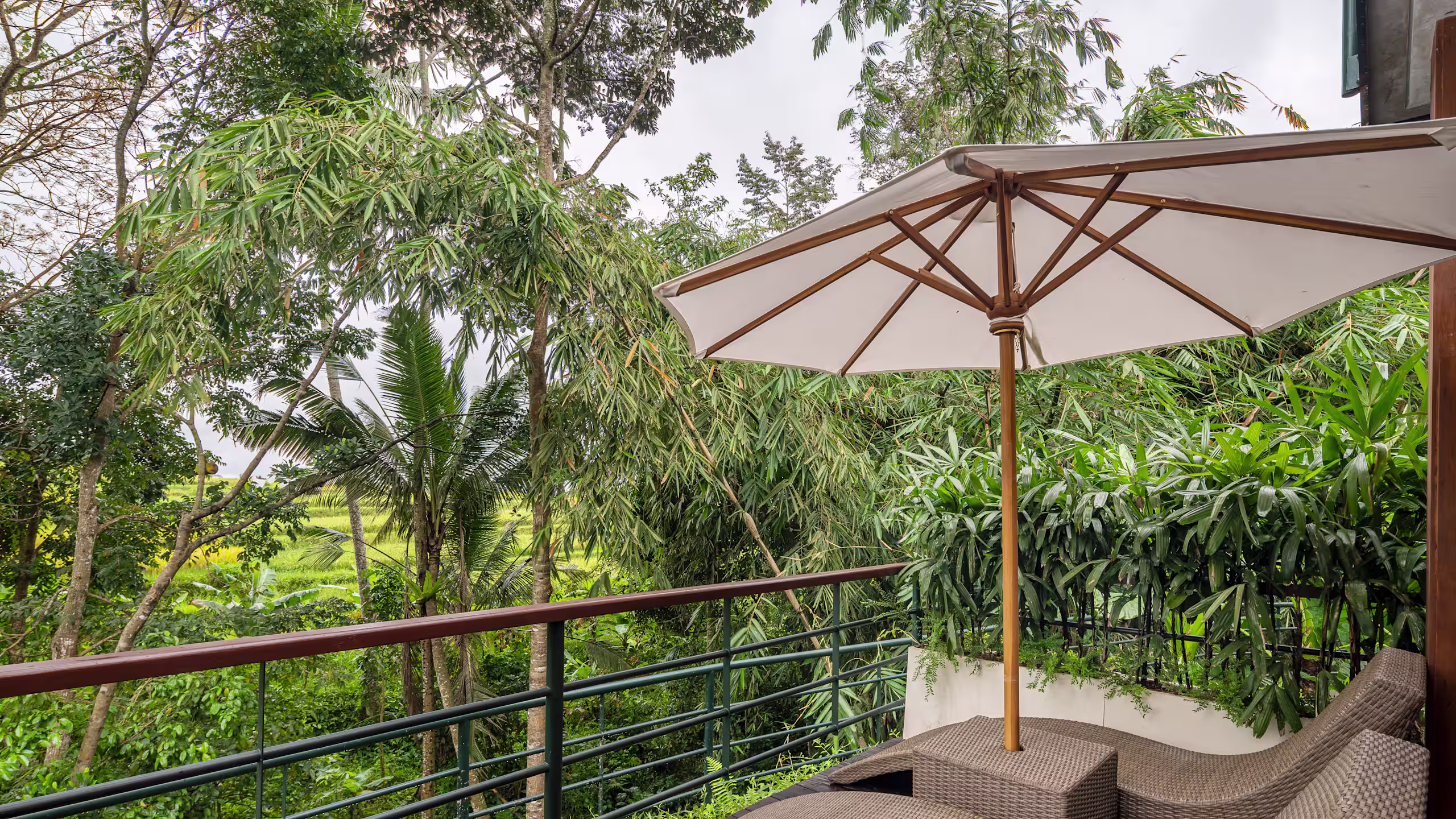 Jungle Suite Twin - Image 5