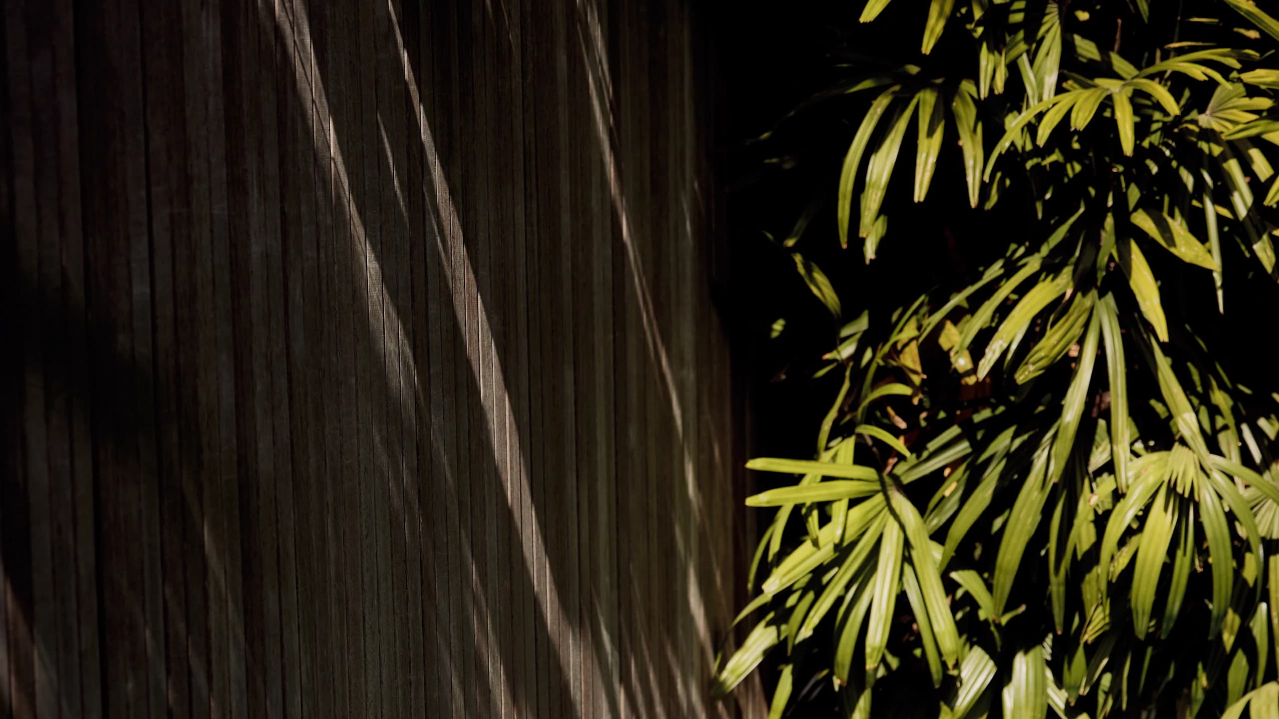 Private Plunge Pool - Image 4