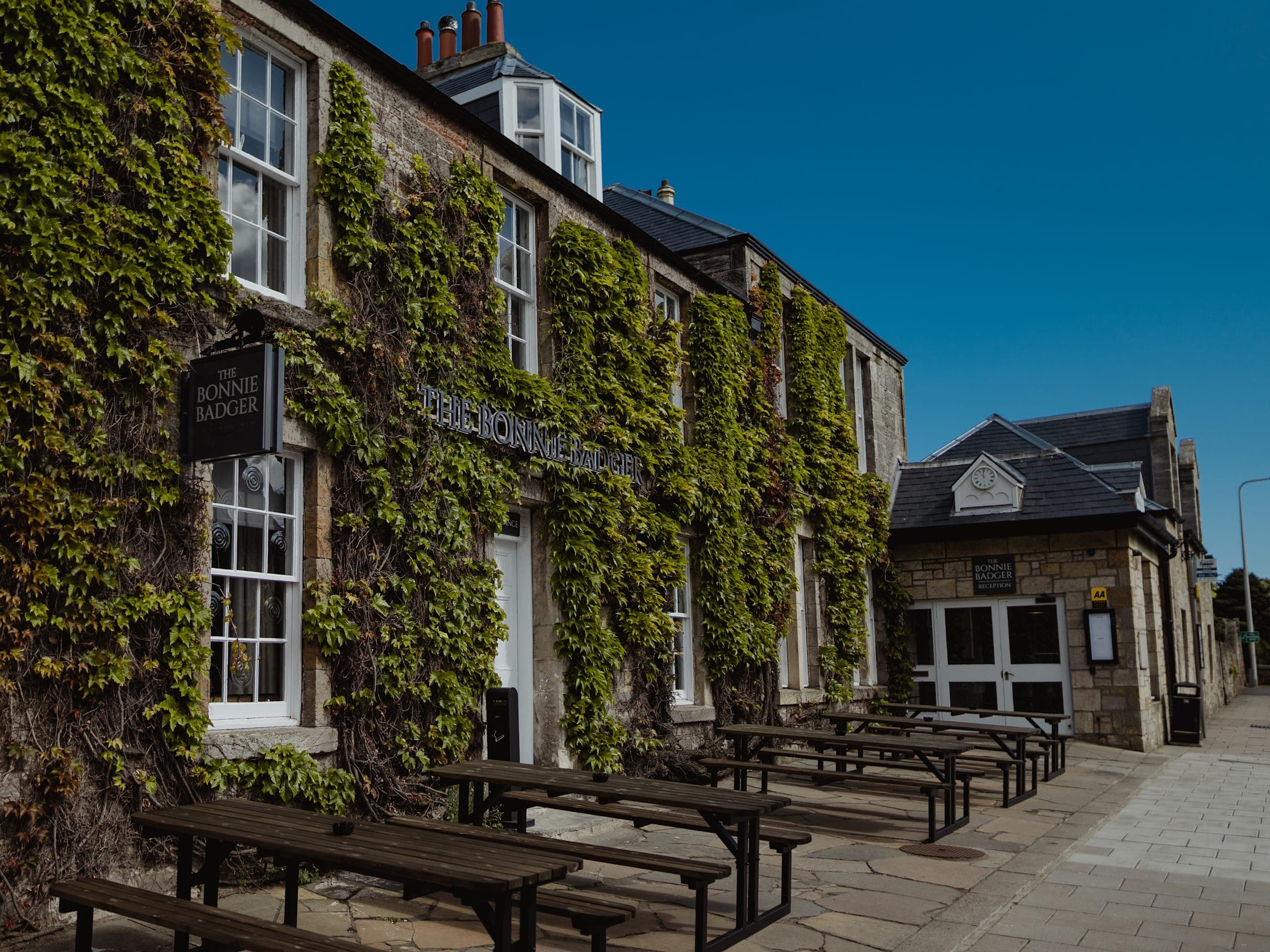 The Bonnie Badger - Image 1