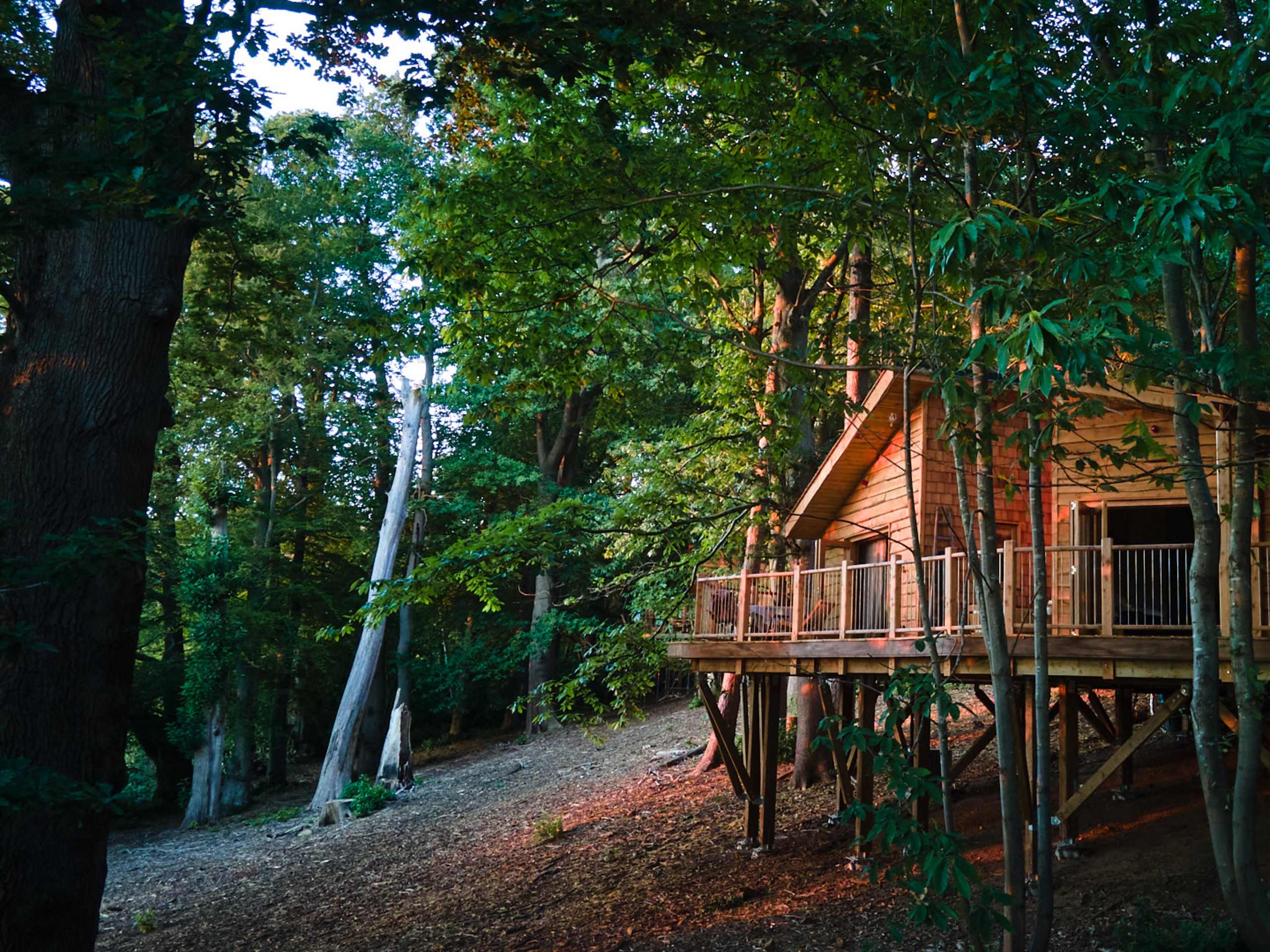 Tree House Retreats - Image 1