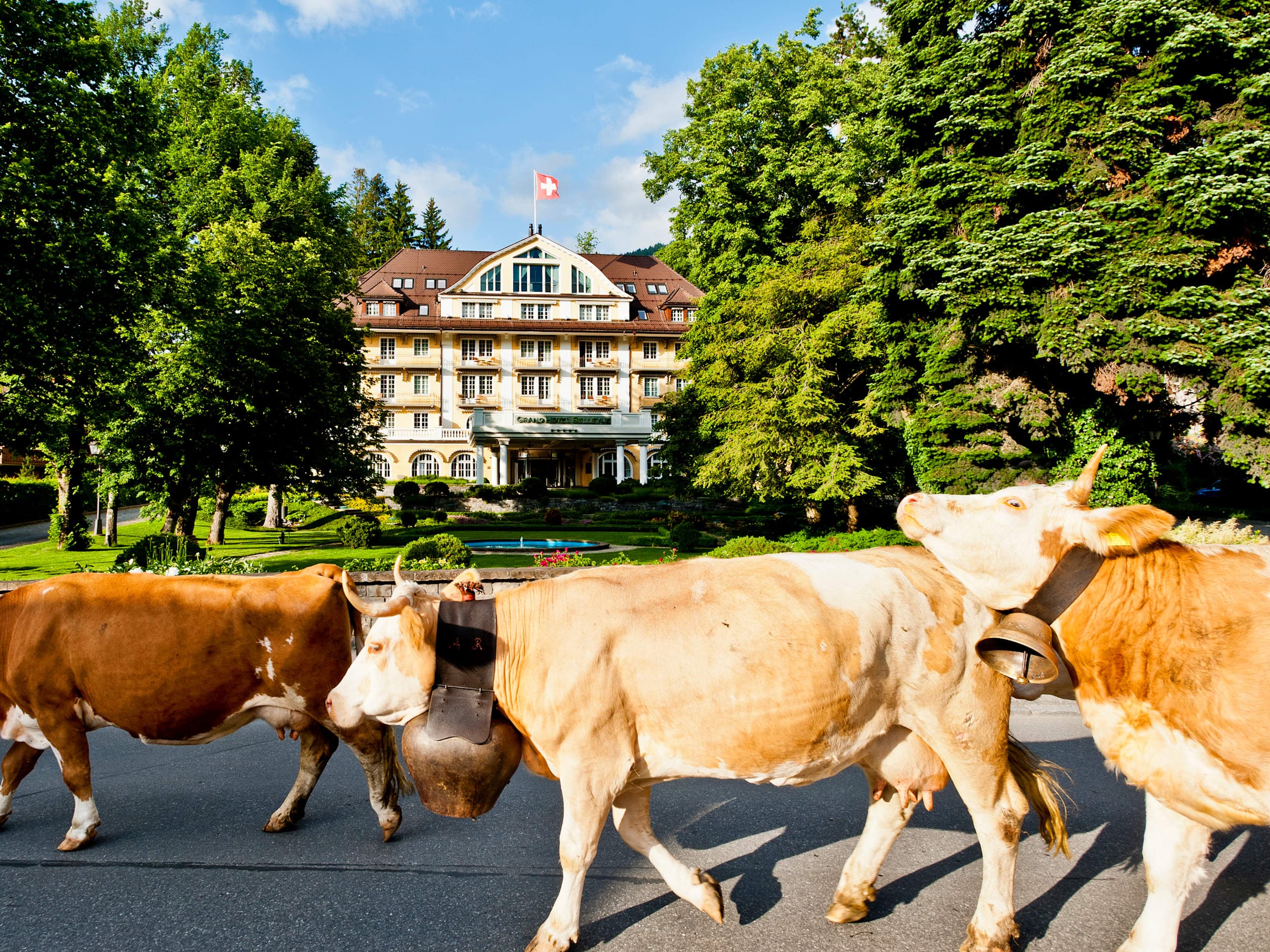 Le Grand Bellevue