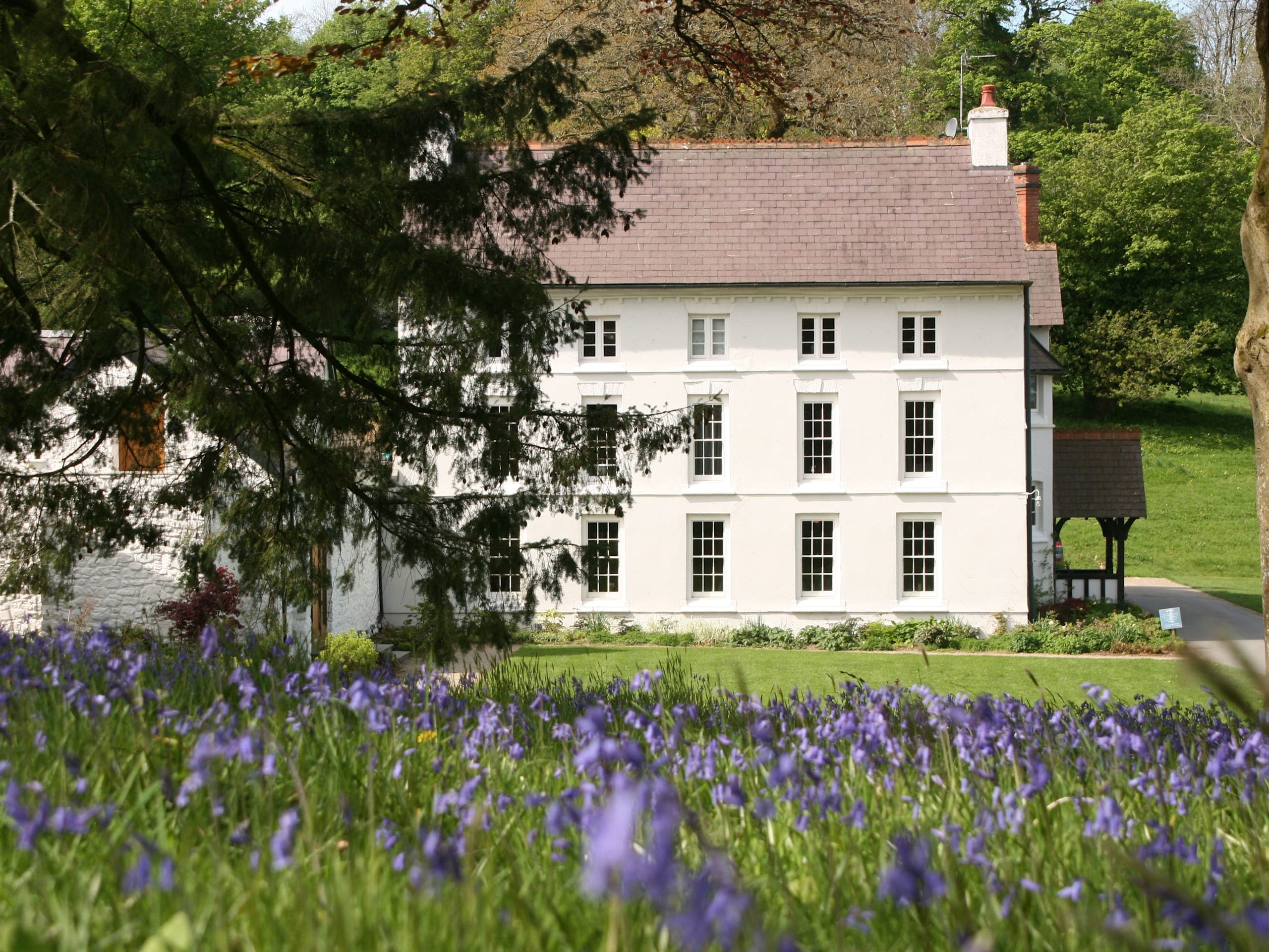 Grove of Narberth